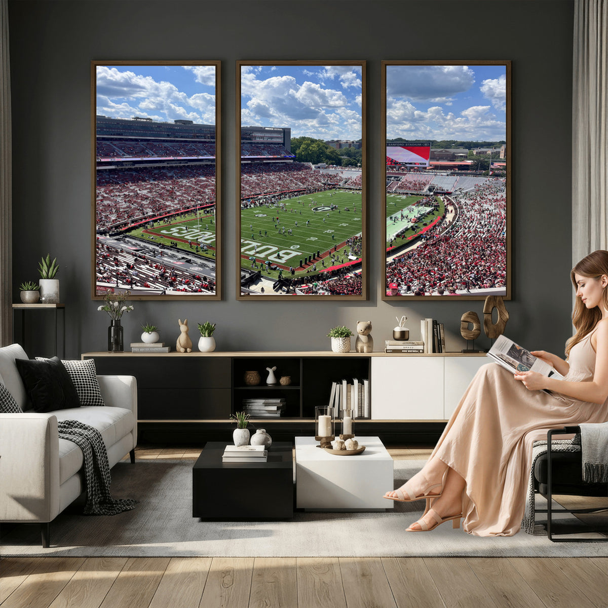 10665453-MGV-CV-36X24 - Georgia Bulldogs Stadium Wall Art Canvas Print, Sanford, Framed and Ready to Hang