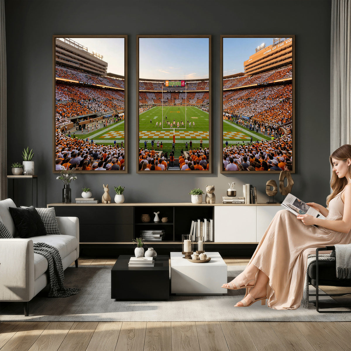 74509135-MGV-CV-36X24 - Stadium Wall Art Canvas Print