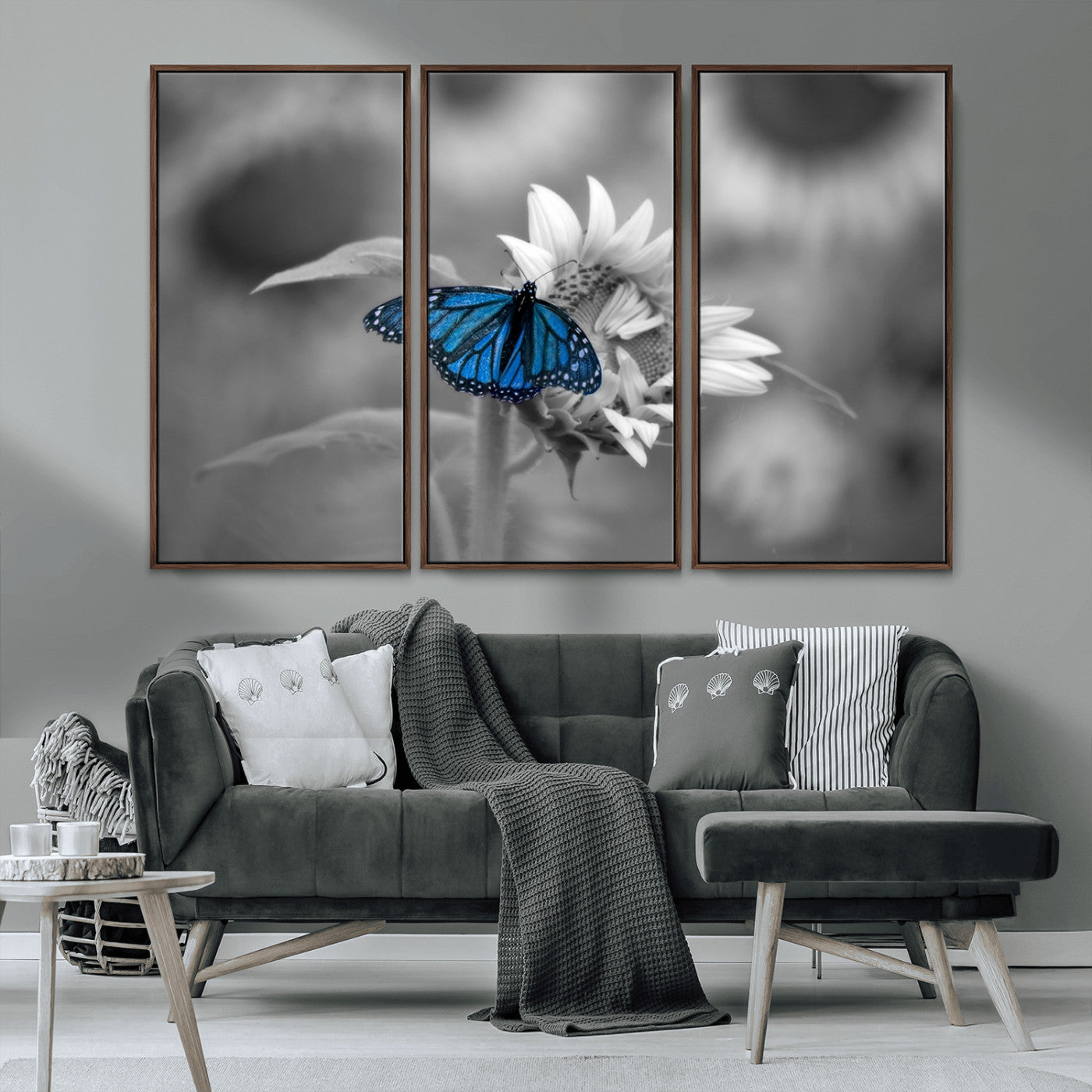 MGV-FC-48X32-3P - Blue Butterfly Black and White Canvas Wall Art
