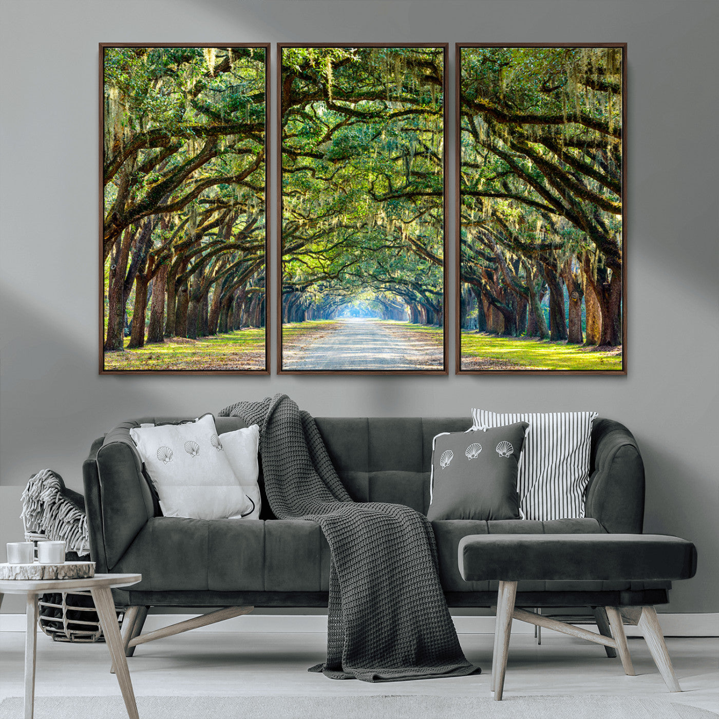 MGV-FC-48X32-3P - Wormsloe State Plantation Driveway Wall Art Canvas Print