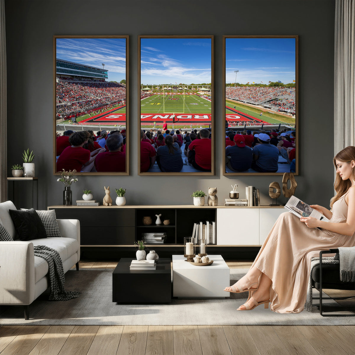 71475-PAN-FL-20X10 - Ball State Cardinals Football Team Print - Muncie Scheumann Stadium Wall Art Canvas Print