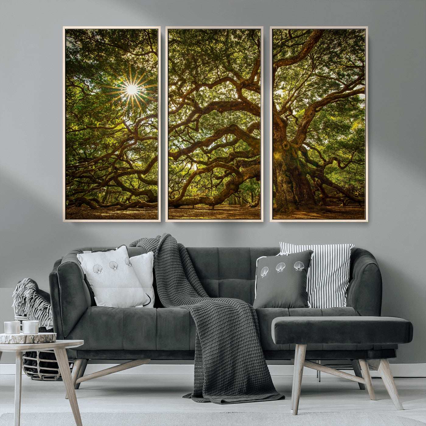 MGV-FC-48X32-3P - Ancient Angel Oak Tree Art Sunburst Canvas Print- Nature-Inspired Triptych Canvas Print, Framed, Ready to Hang