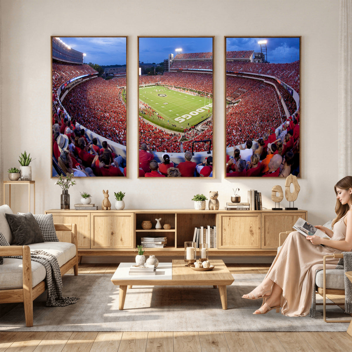 10244378-MGV-CV-36X24 - Dooley Stadium Wall Art, Sports Arena Canvas Print, Dooley Field, Home Bar Wall Decor