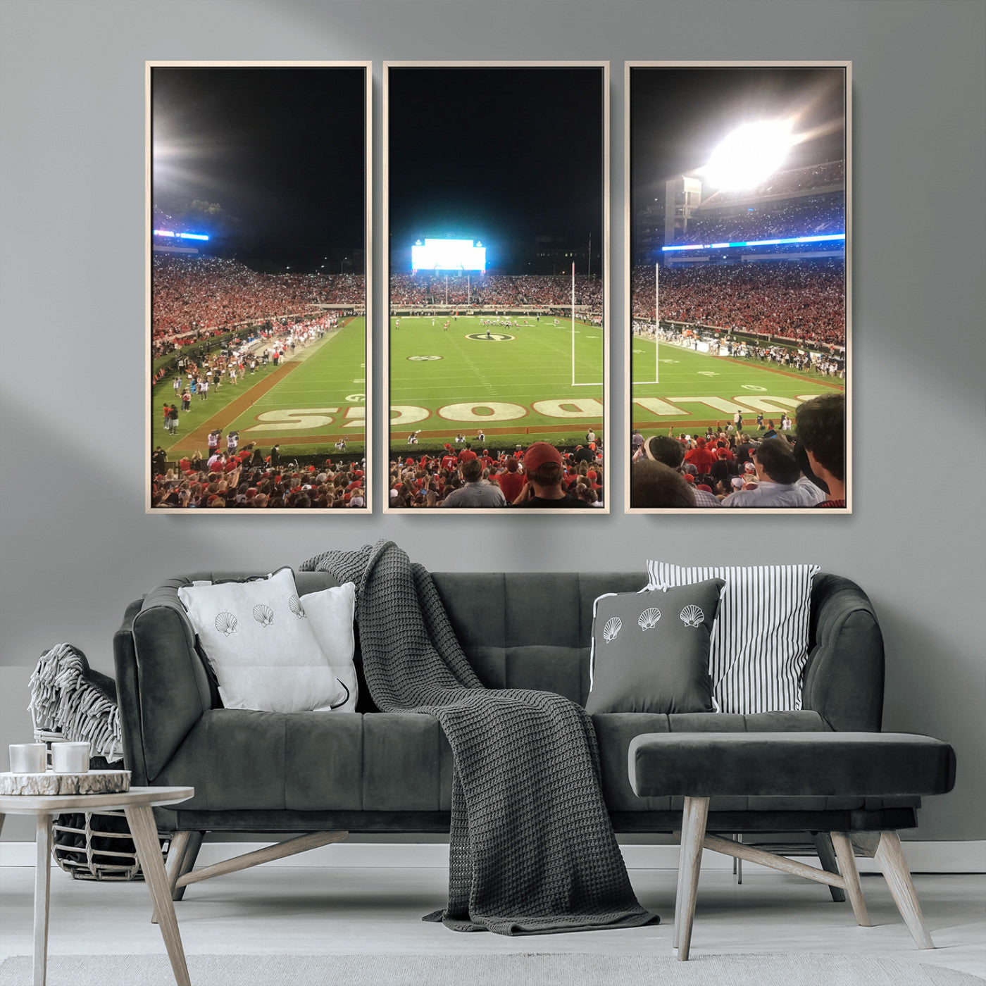 Dooley Stadium Wall Art Print, Sports Arena Canvas Wall Art, Panoramic Stadium Canvas Print, Modern Athletic Field Art Printing