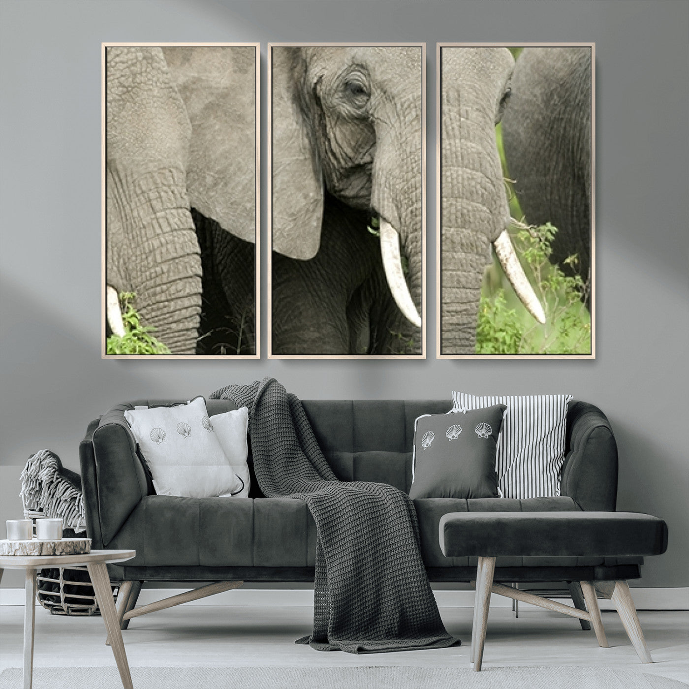 MGV-FC-48X32-3P - Wild Elephant Wall Art Canvas Print
