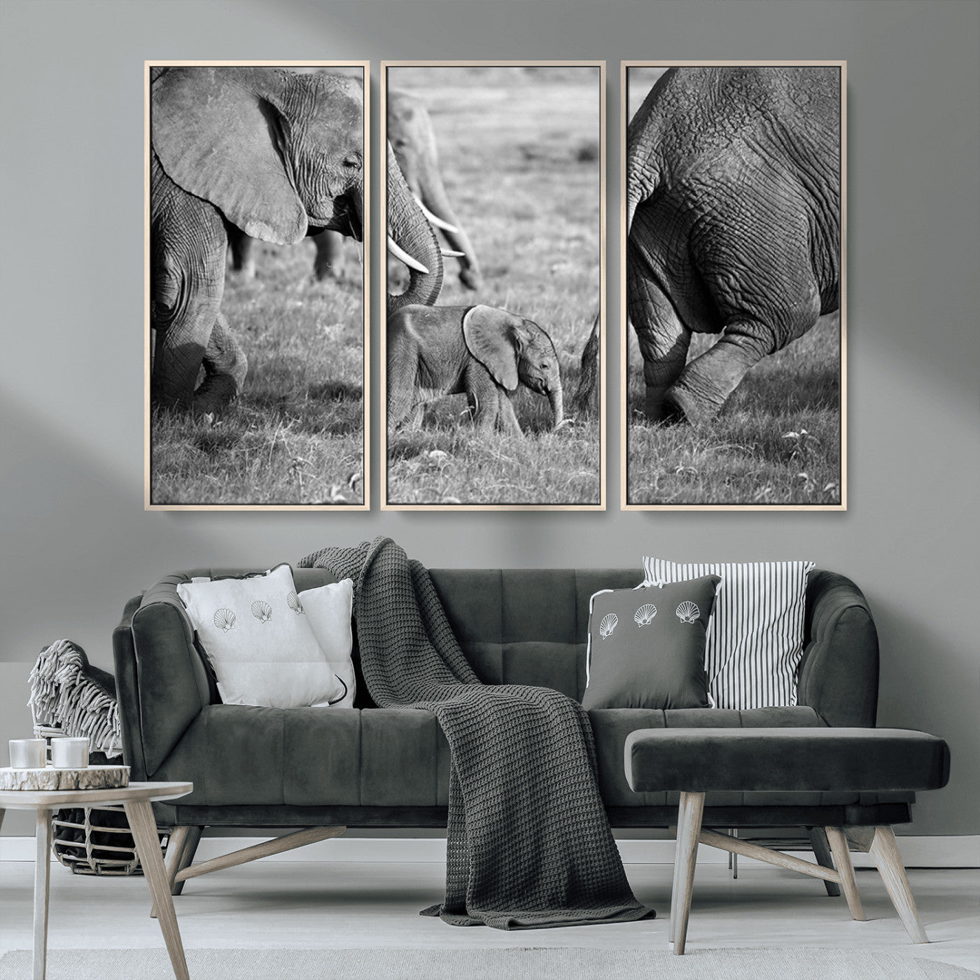 MGV-FC-48X32-3P - Wild Elephant Wall Art Canvas Print