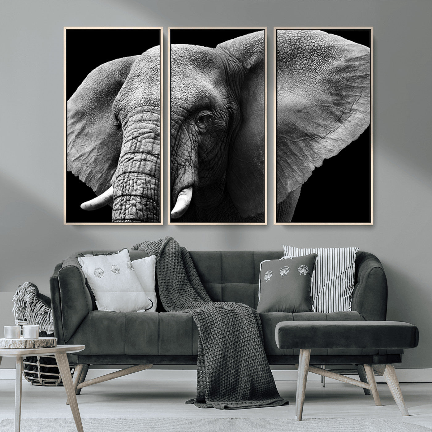MGV-FC-48X32-3P - Big Elephant Close Up Wall Art Canvas Print