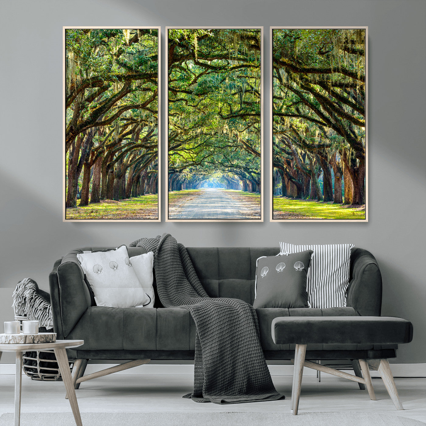 MGV-FC-48X32-3P - Wormsloe State Plantation Driveway Wall Art Canvas Print
