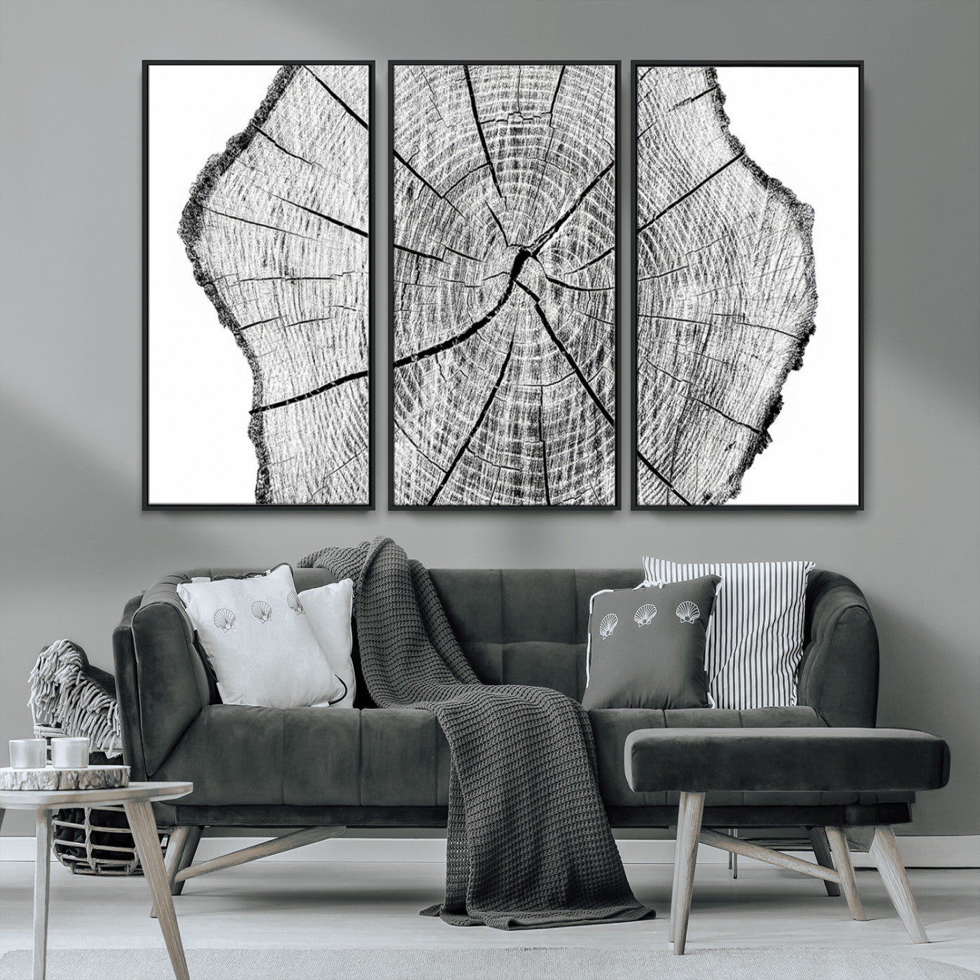 -Rustic Tree Ring Wall Art Canvas Print – Framed and Ready to Hang – Perfect for Nature-Inspired and