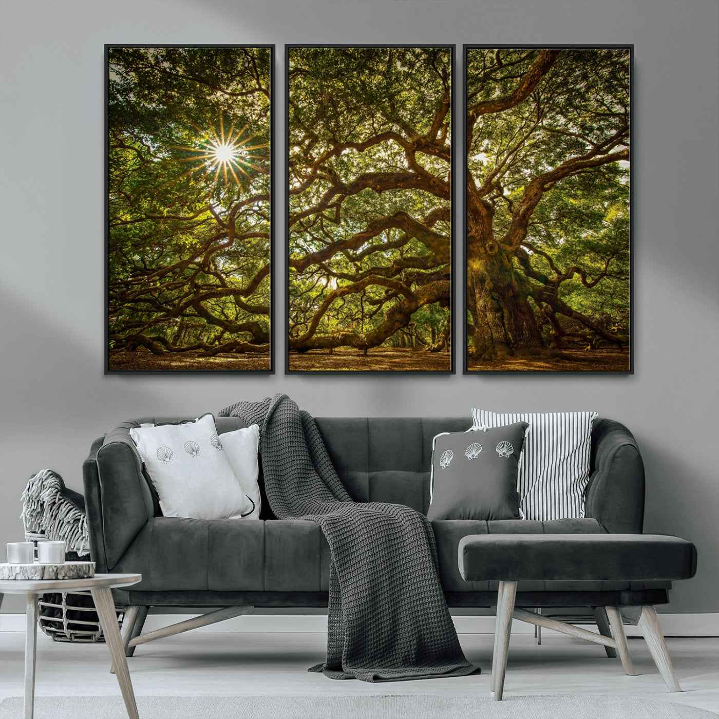 MGV-FC-48X32-3P - Ancient Angel Oak Tree Art Sunburst Canvas Print- Nature-Inspired Triptych Canvas Print, Framed, Ready to Hang