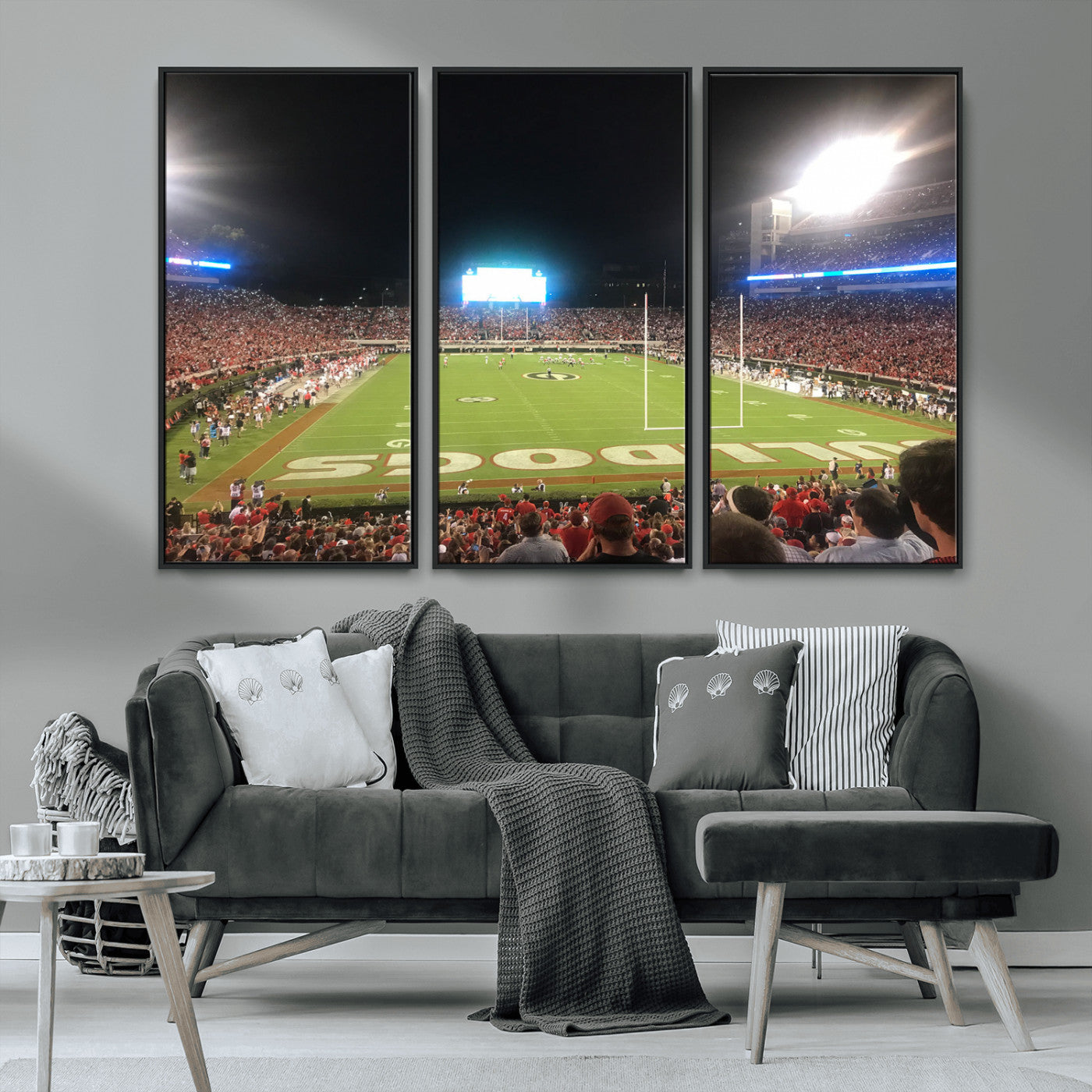 Dooley Stadium Wall Art Print, Sports Arena Canvas Wall Art, Panoramic Stadium Canvas Print, Modern Athletic Field Art Printing