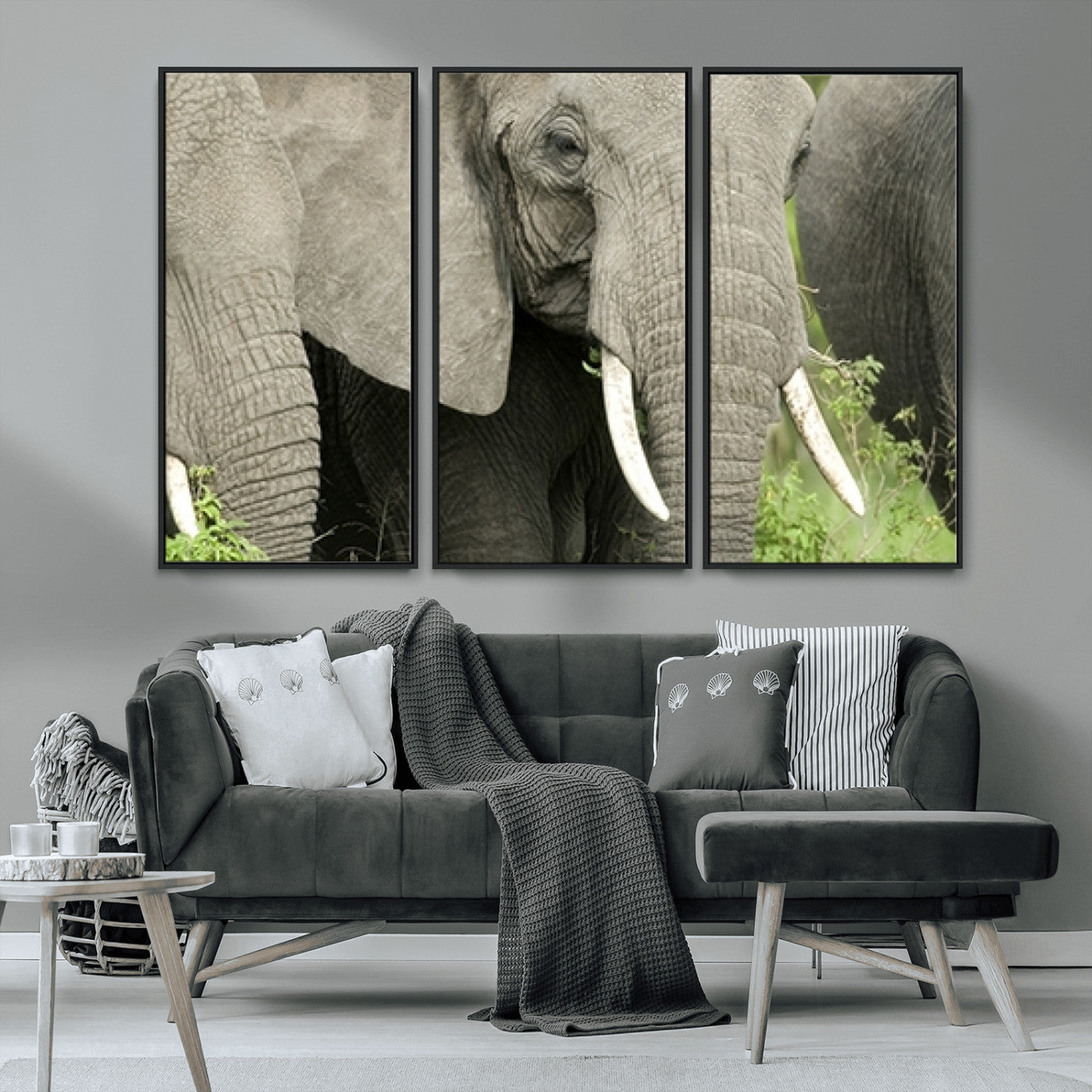 MGV-FC-48X32-3P - Wild Elephant Wall Art Canvas Print
