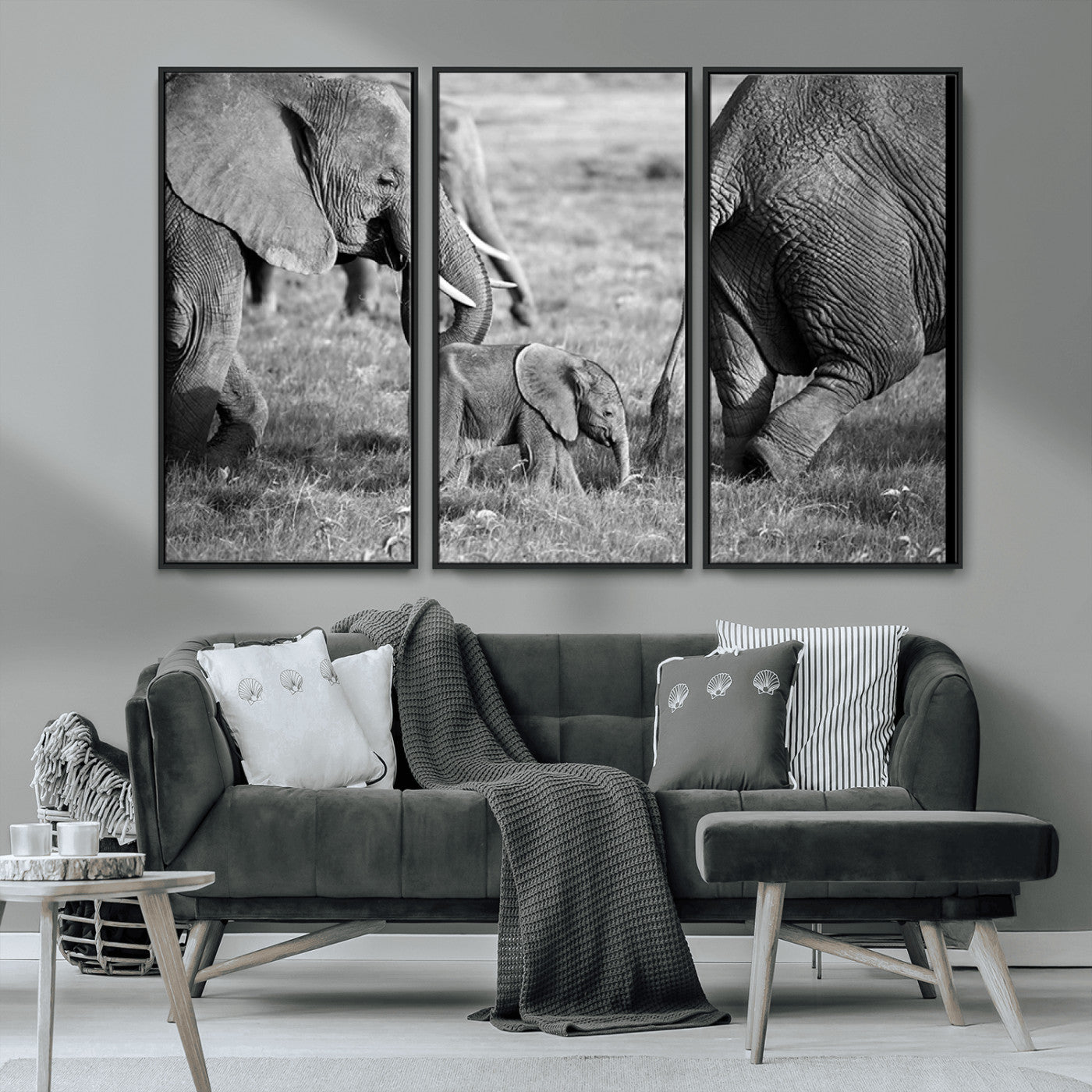MGV-FC-48X32-3P - Wild Elephant Wall Art Canvas Print