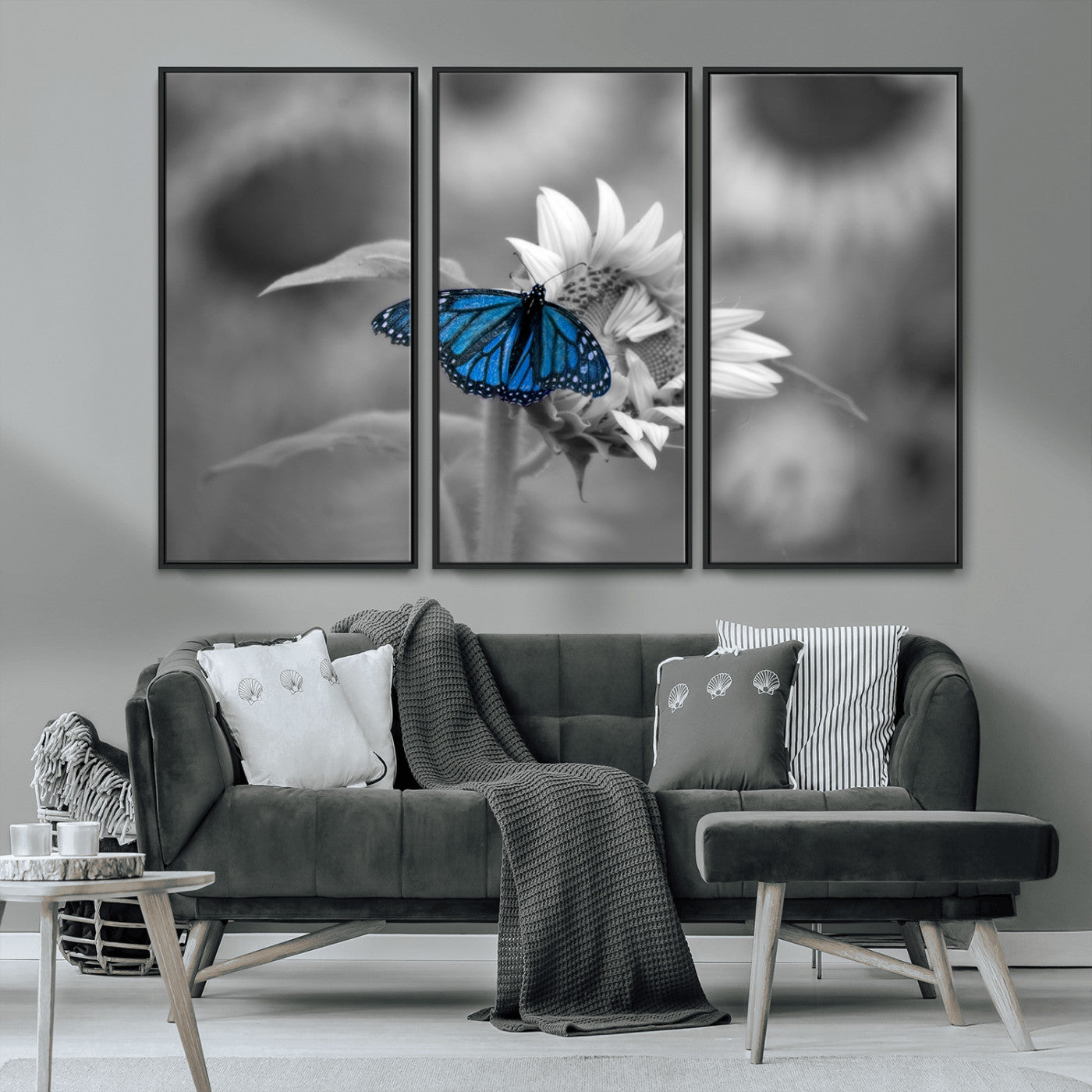 MGV-FC-48X32-3P - Blue Butterfly Black and White Canvas Wall Art