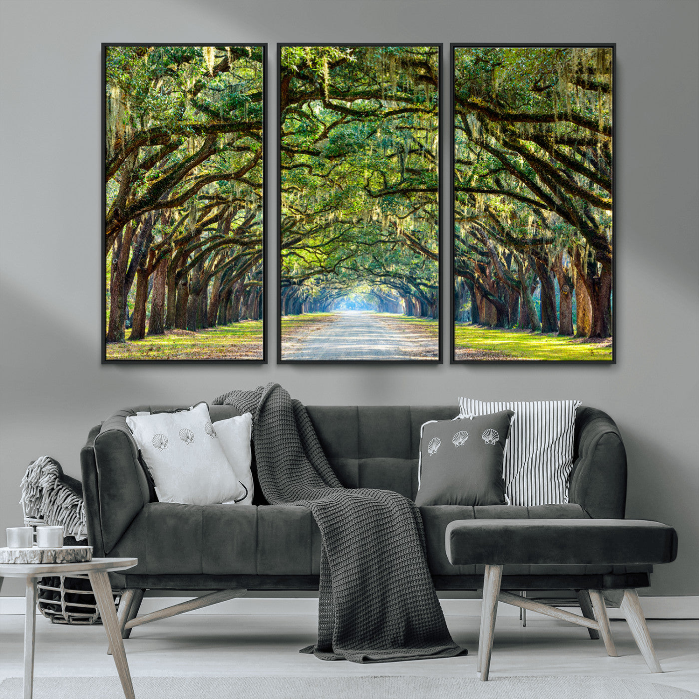 MGV-FC-48X32-3P - Wormsloe State Plantation Driveway Wall Art Canvas Print