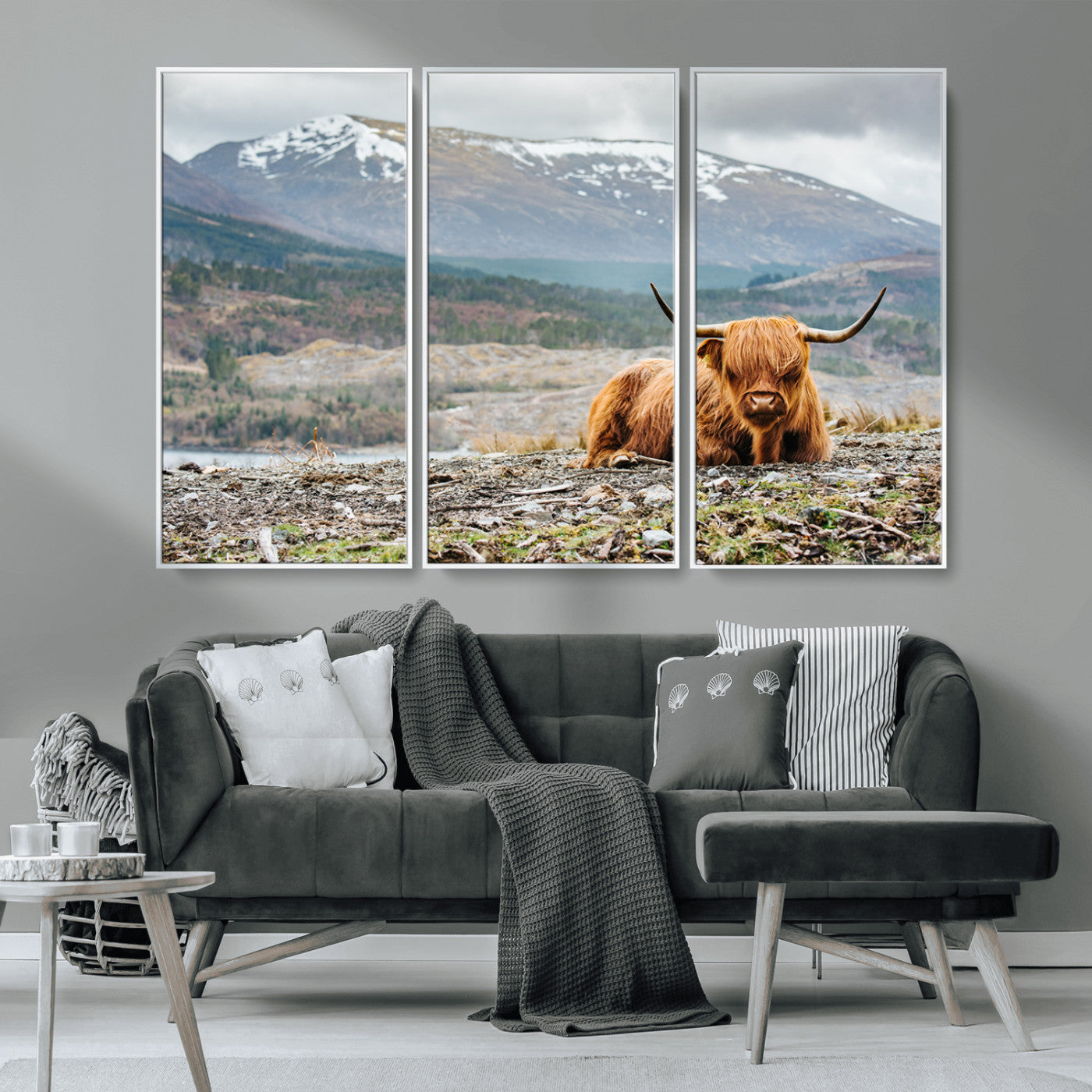 80252-MGV-FC-48X32-3P_White-Highland Cow Horn Farm Wall Art Canvas Print