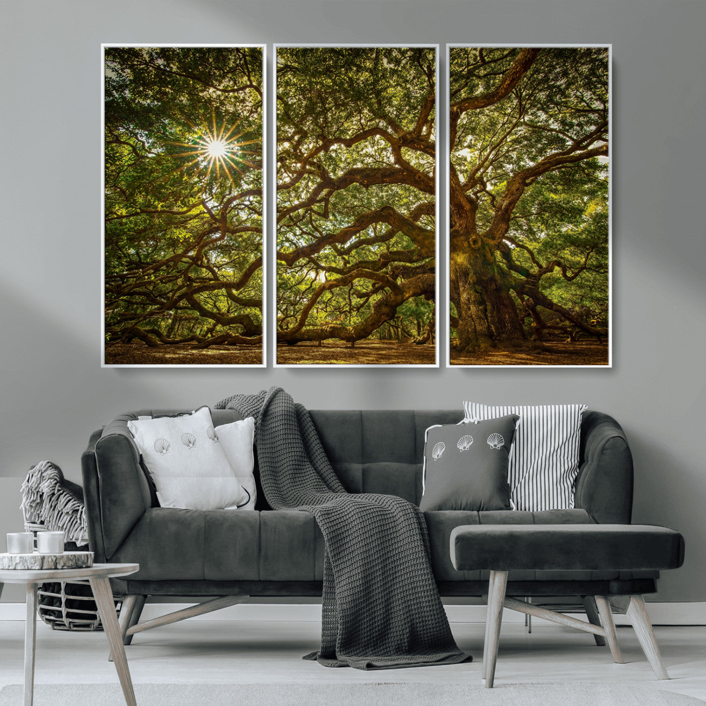 MGV-FC-48X32-3P - Ancient Angel Oak Tree Art Sunburst Canvas Print- Nature-Inspired Triptych Canvas Print, Framed, Ready to Hang