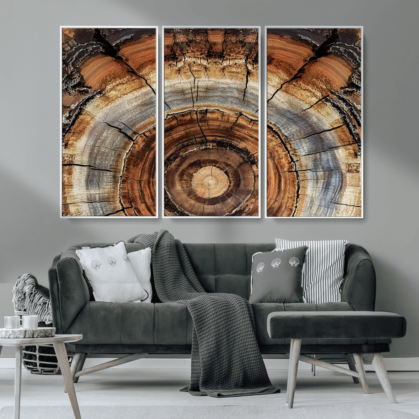 MGV-FC-48X32-3P - Tree Rings Wall Art Canvas Print, Framed Wood Texture Art Picture Print, Rustic Pattern Perfect Rustic Organic Decor Artwork
