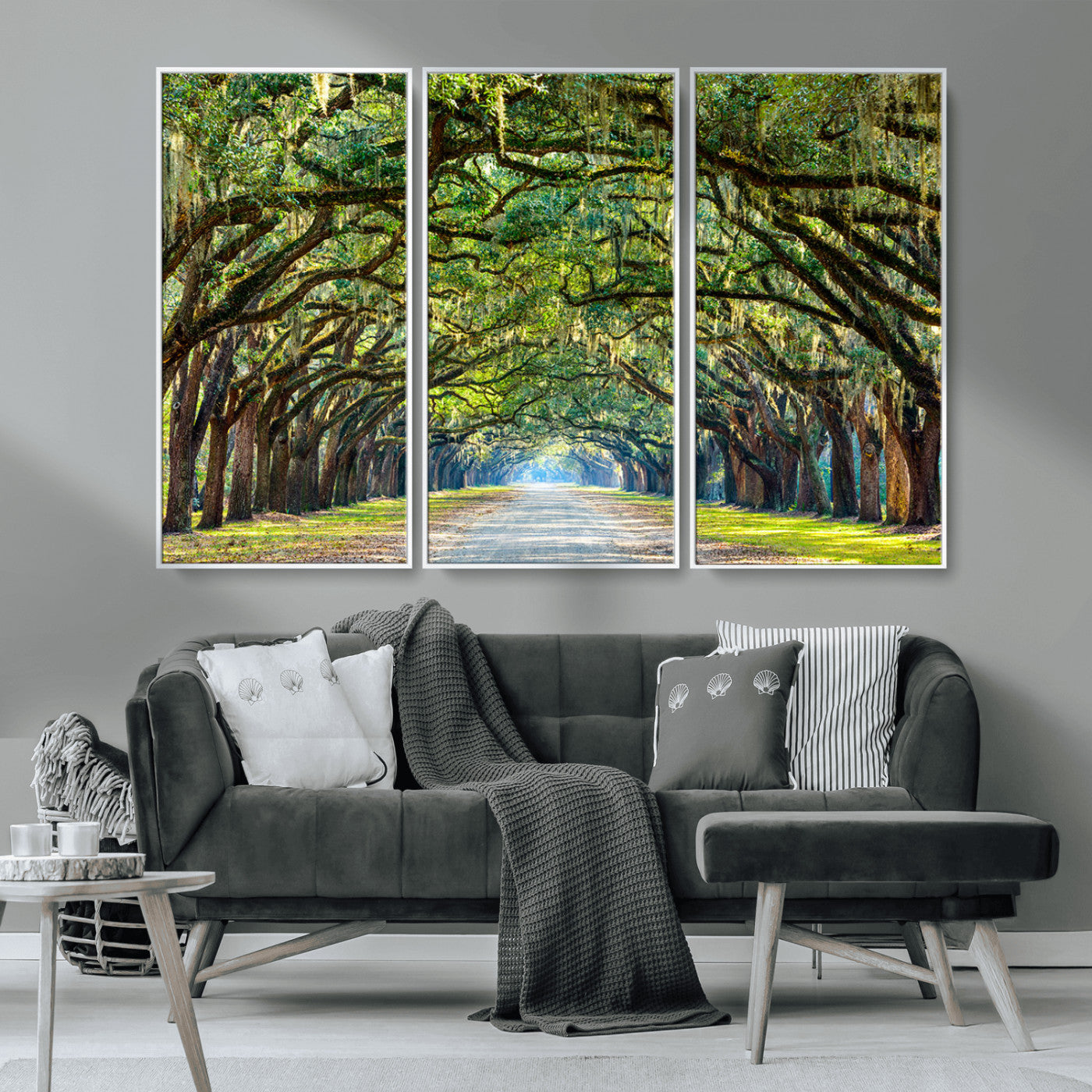 MGV-FC-48X32-3P - Wormsloe State Plantation Driveway Wall Art Canvas Print