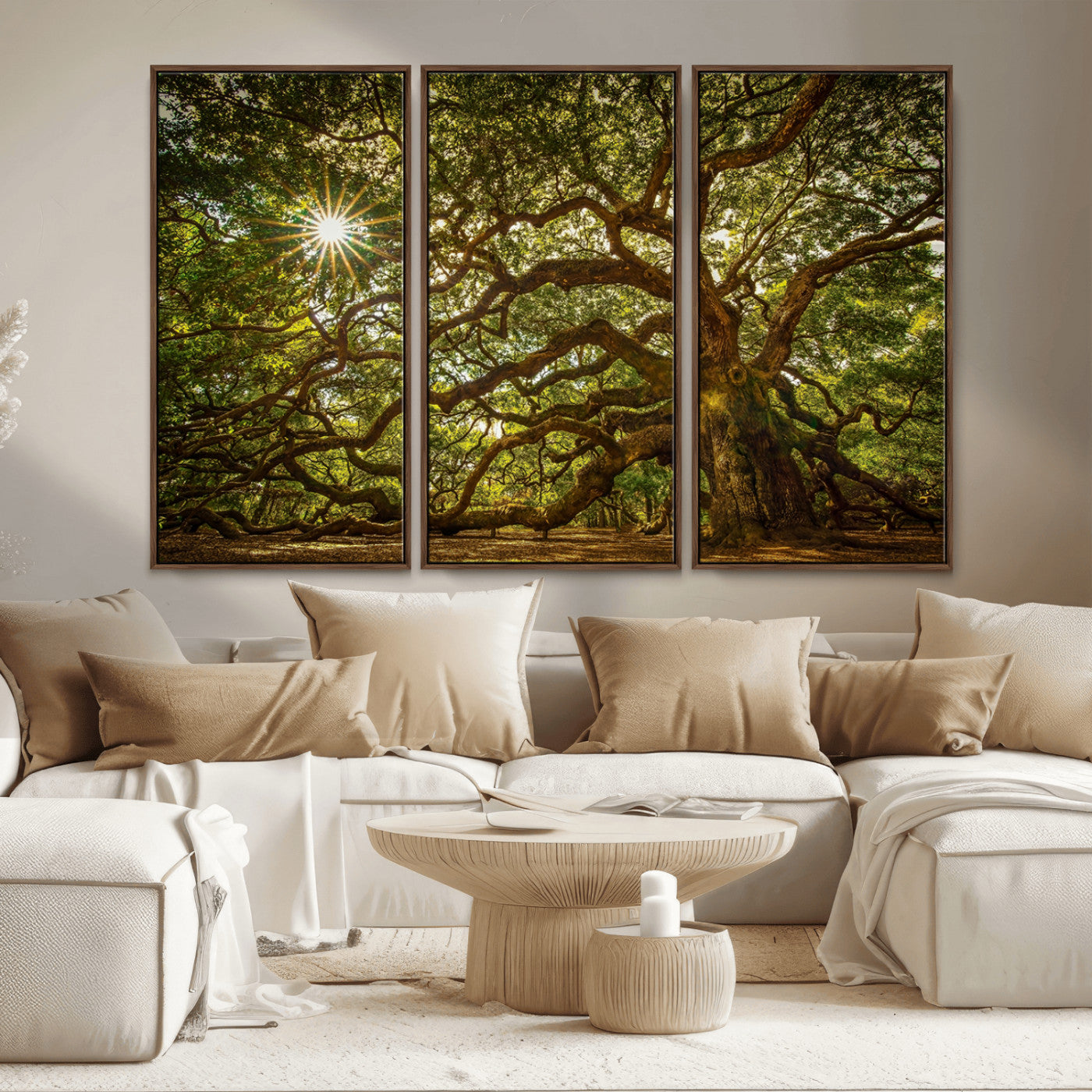 MGV-FC-48X32-3P - Ancient Angel Oak Tree Art Sunburst Canvas Print- Nature-Inspired Triptych Canvas Print, Framed, Ready to Hang