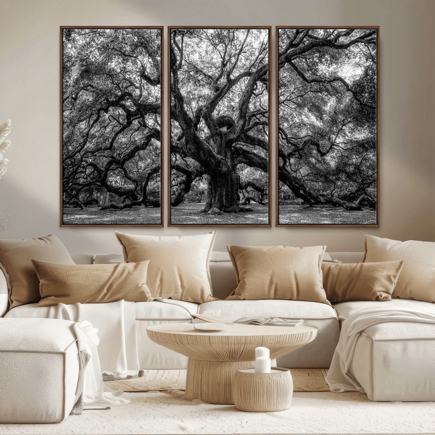 MGV-FC-48X32-3P - Black and White Old Angel Oak Tree Wall Art Canvas Print