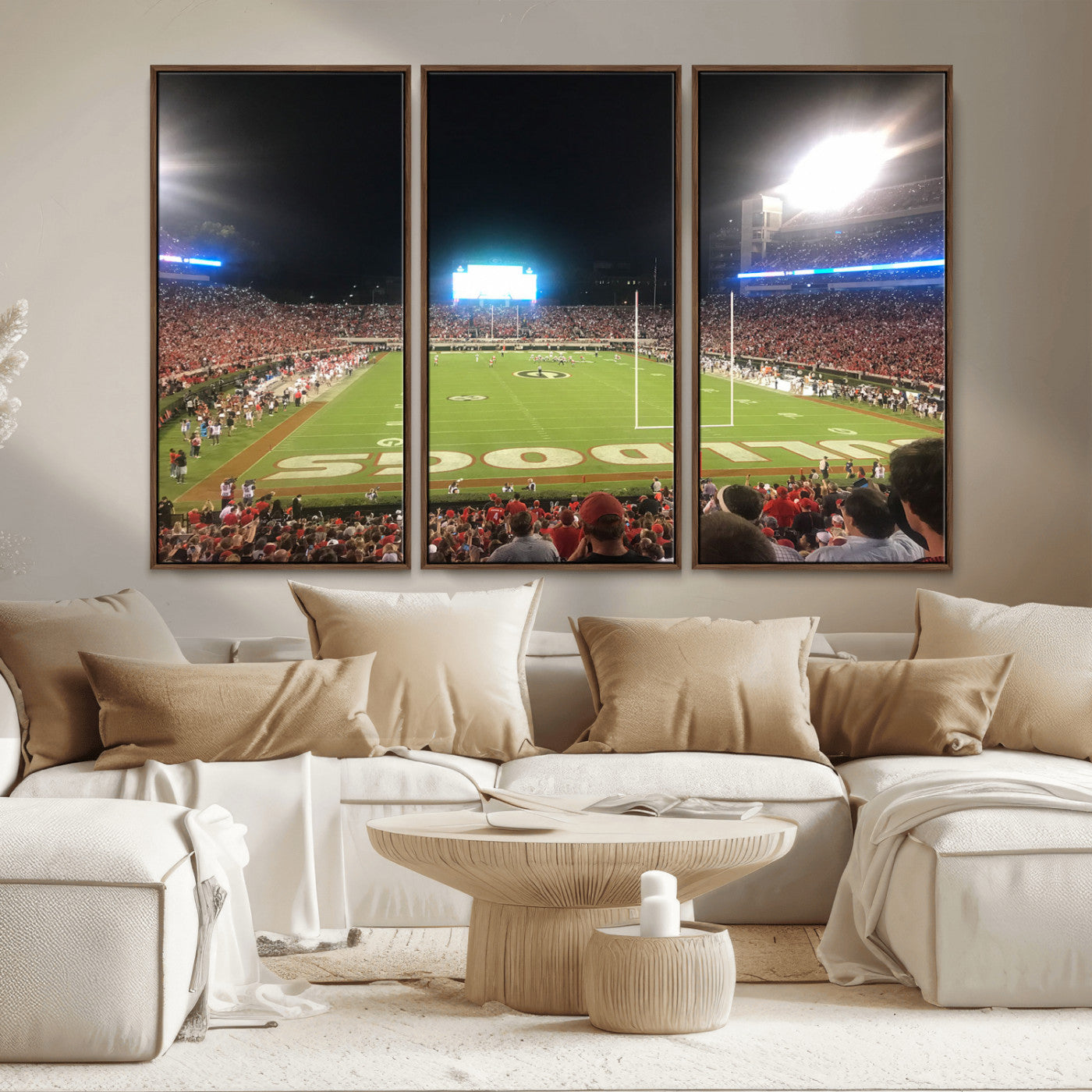 Dooley Stadium Wall Art Print, Sports Arena Canvas Wall Art, Panoramic Stadium Canvas Print, Modern Athletic Field Art Printing