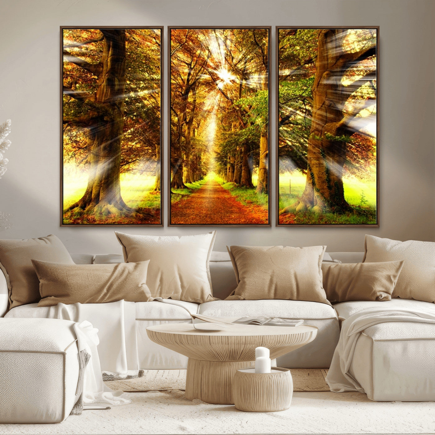 MGV-FC-48X32-3P - Sunshine in Forest and Trees Wall Art Canvas Print