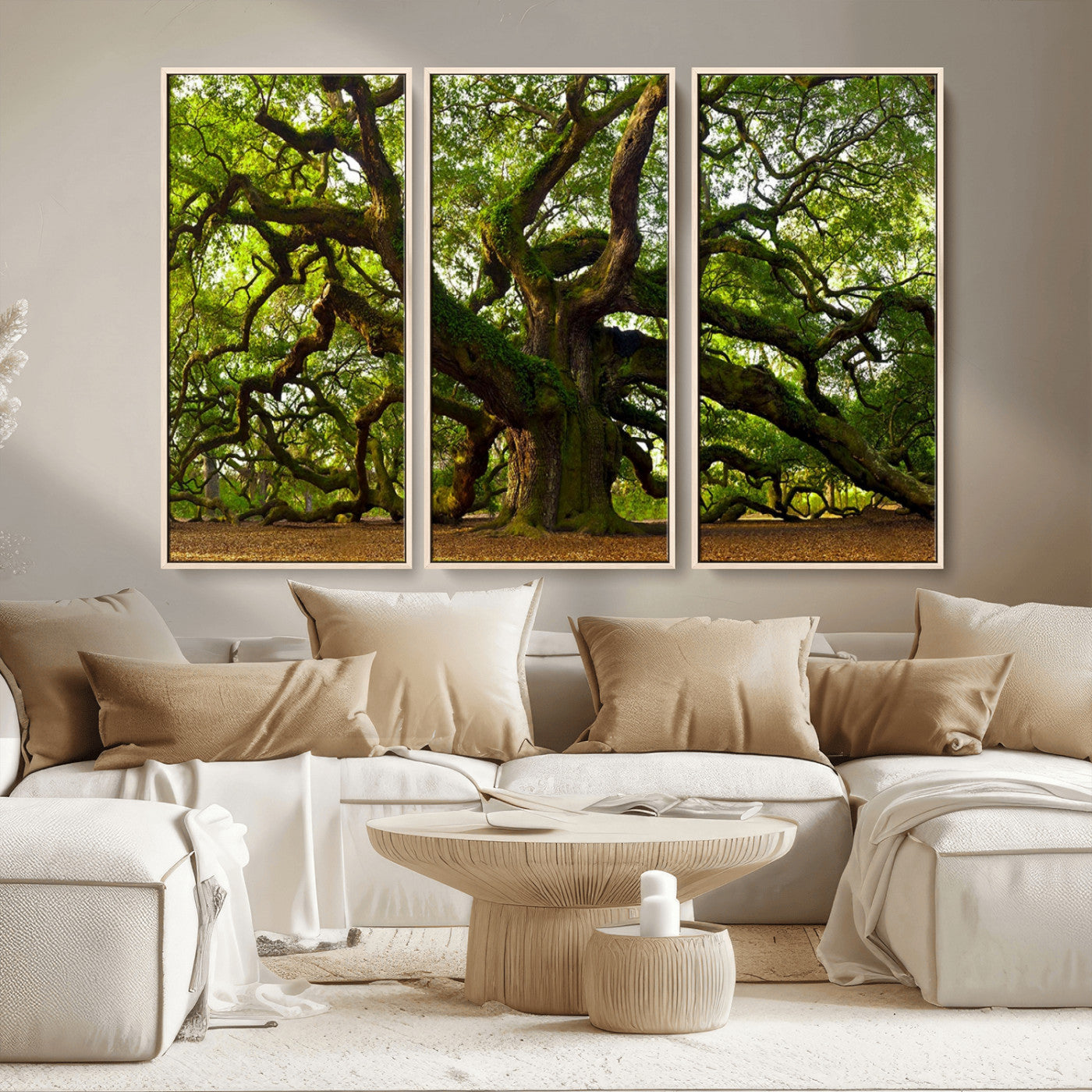 MGV-FC-48X32-3P - Angel Oak Tree Wall Art Canvas Print | Forest Tree Nature Photography Print on Canvas | Large Triptych Art for Living Room or Office Decor