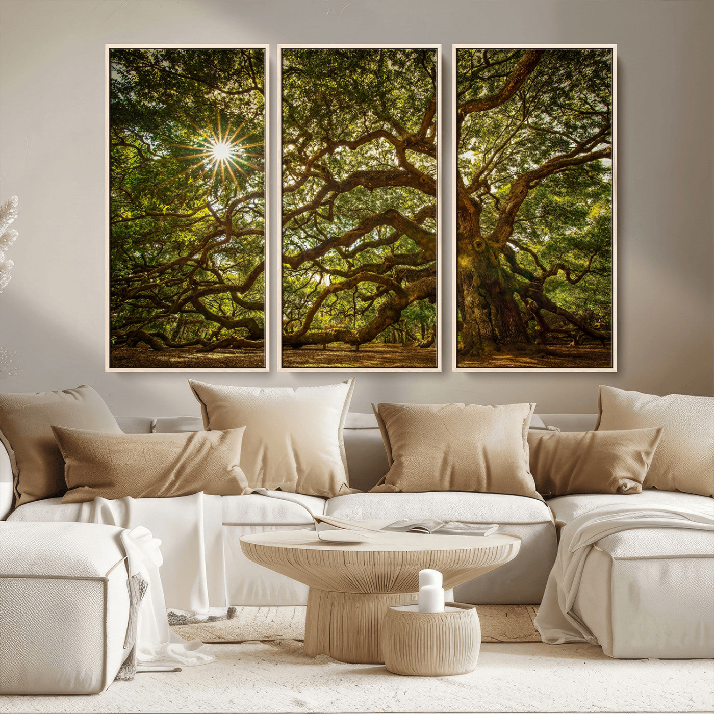 MGV-FC-48X32-3P - Ancient Angel Oak Tree Art Sunburst Canvas Print- Nature-Inspired Triptych Canvas Print, Framed, Ready to Hang