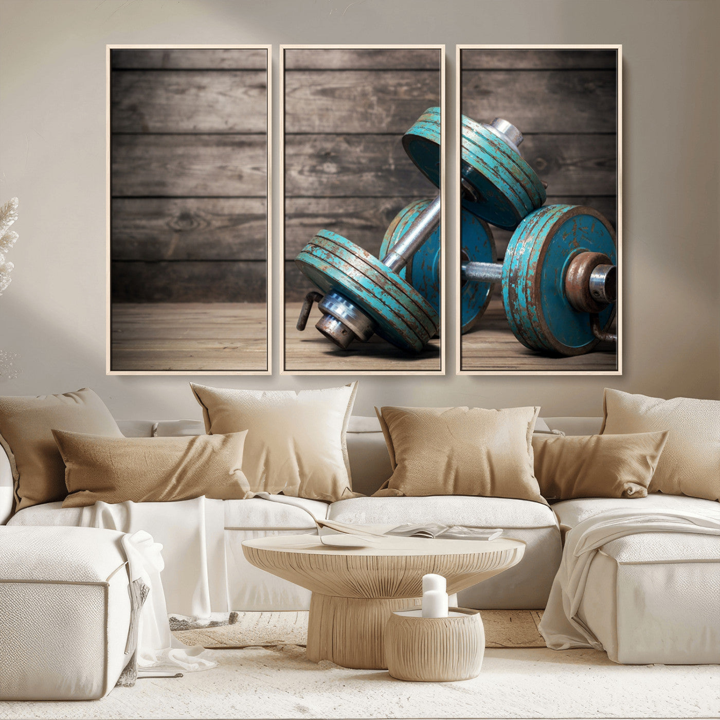 MGV-FC-48X32-3P - Dambell and Sport Wall Art Canvas Print