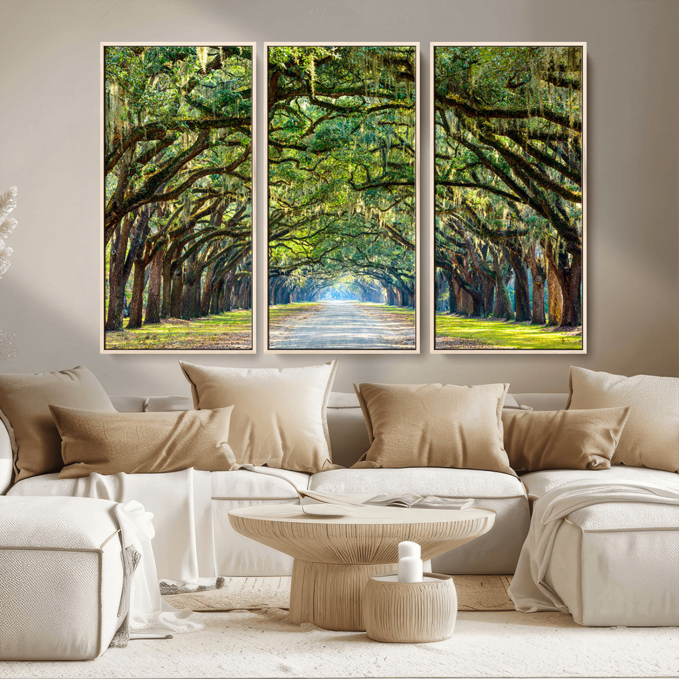 MGV-FC-48X32-3P - Wormsloe State Plantation Driveway Wall Art Canvas Print