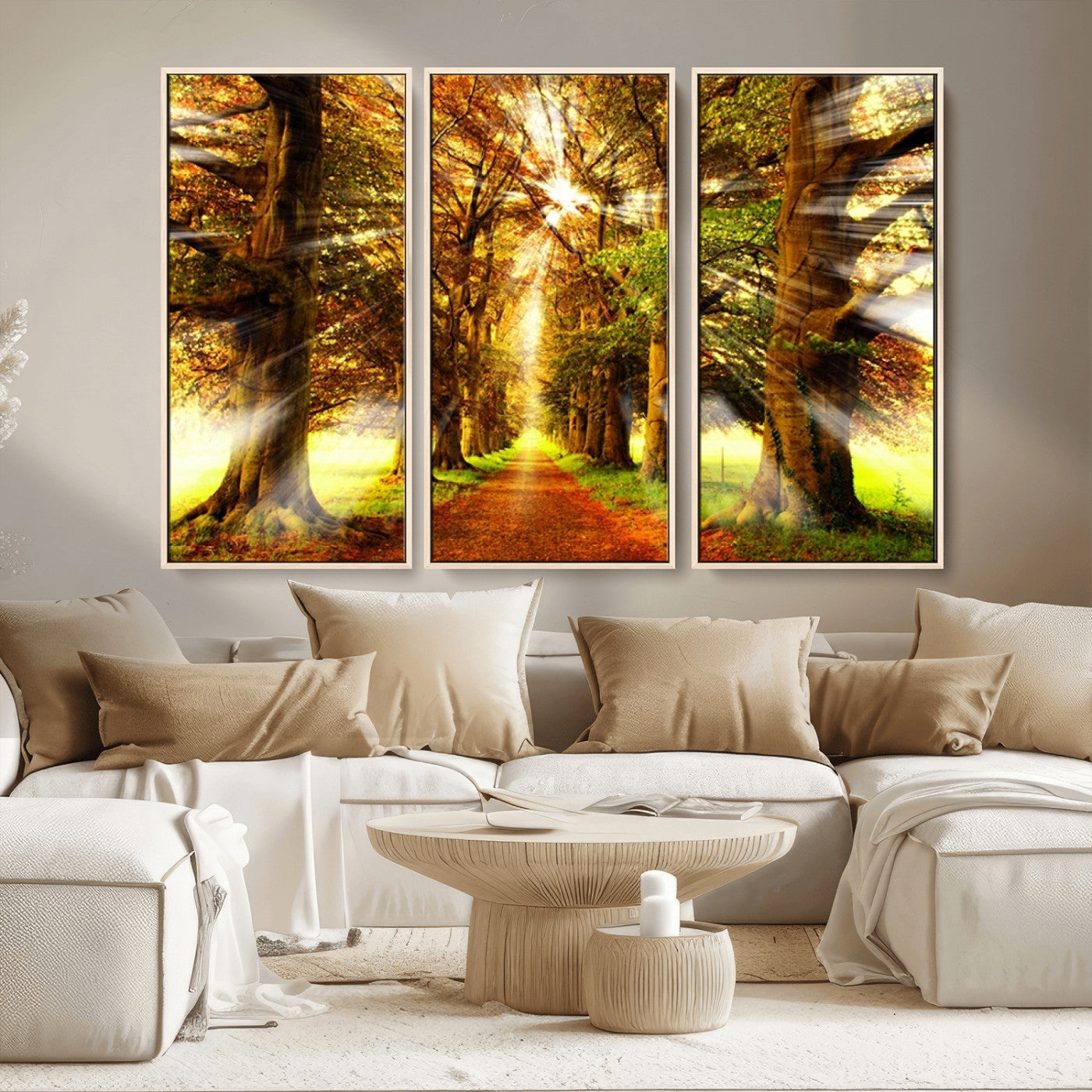 MGV-FC-48X32-3P - Sunshine in Forest and Trees Wall Art Canvas Print