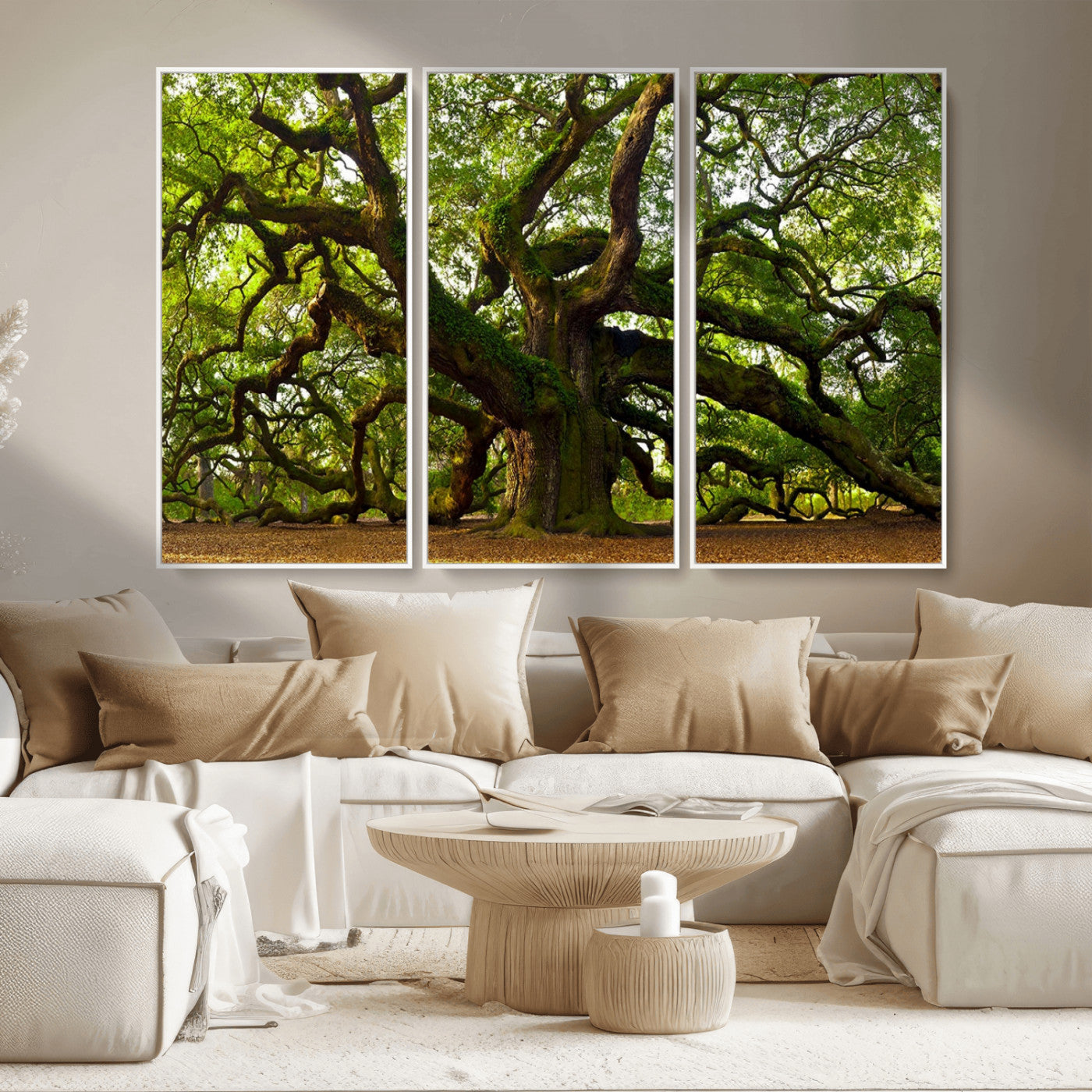 MGV-FC-48X32-3P - Angel Oak Tree Wall Art Canvas Print | Forest Tree Nature Photography Print on Canvas | Large Triptych Art for Living Room or Office Decor