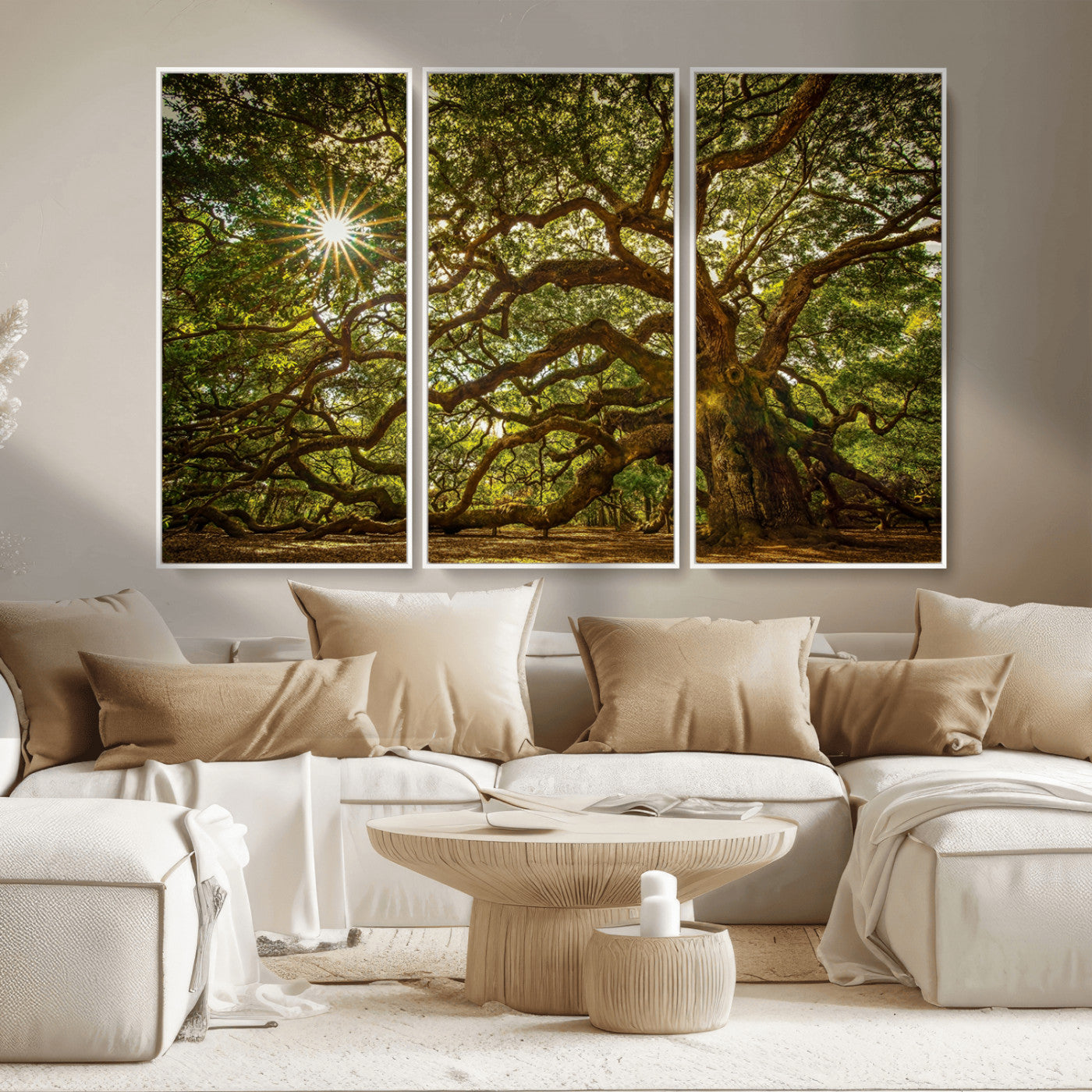 MGV-FC-48X32-3P - Ancient Angel Oak Tree Art Sunburst Canvas Print- Nature-Inspired Triptych Canvas Print, Framed, Ready to Hang