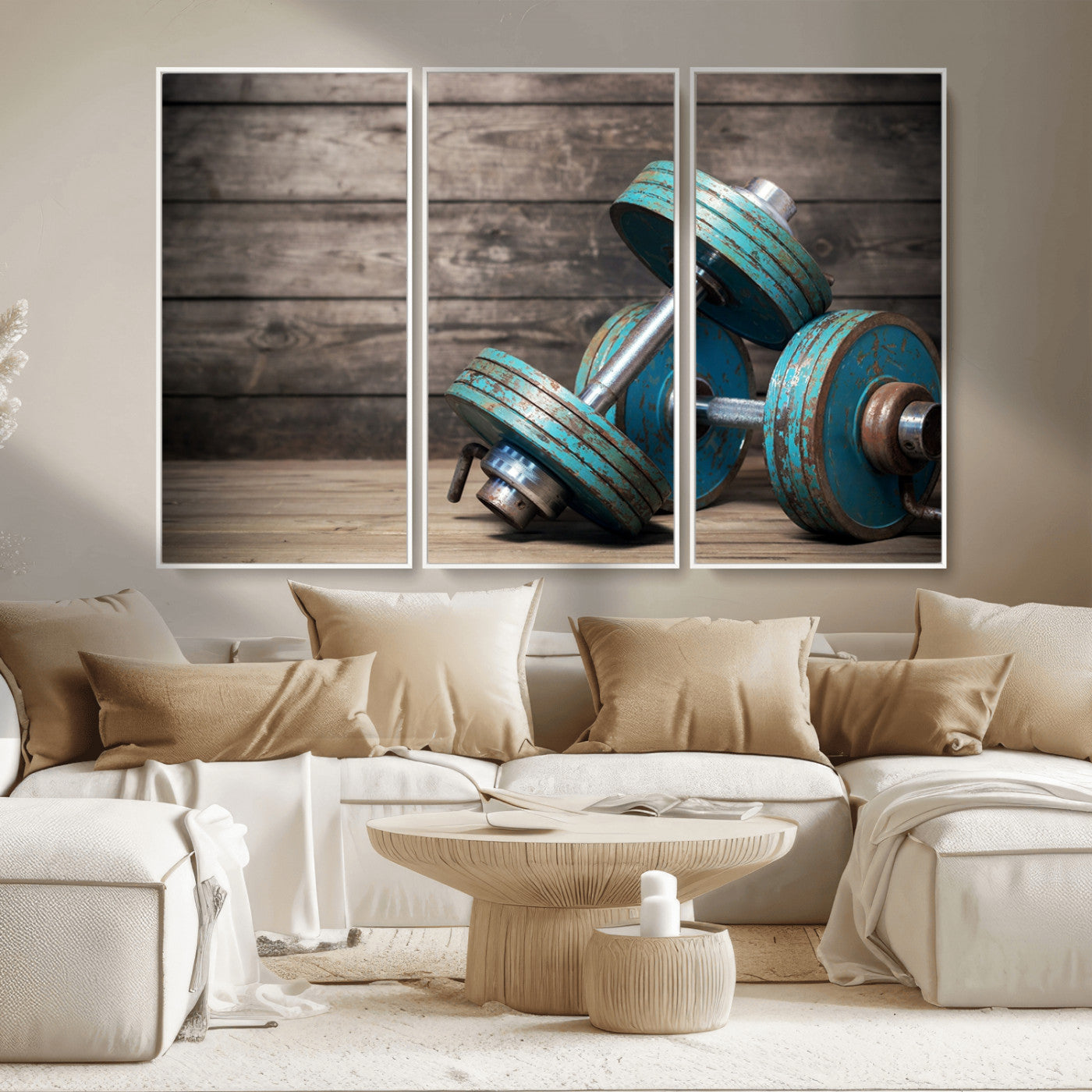 MGV-FC-48X32-3P - Dambell and Sport Wall Art Canvas Print