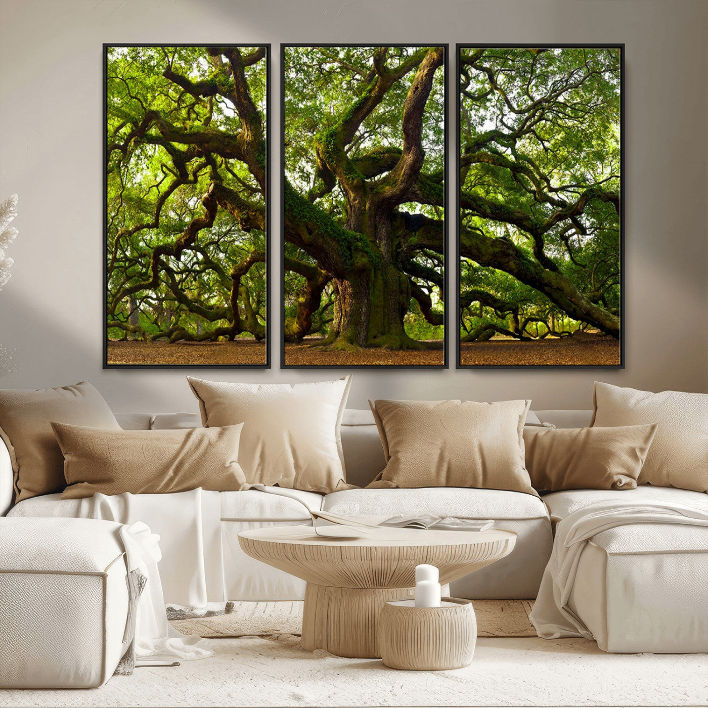 MGV-FC-48X32-3P - Angel Oak Tree Wall Art Canvas Print | Forest Tree Nature Photography Print on Canvas | Large Triptych Art for Living Room or Office Decor