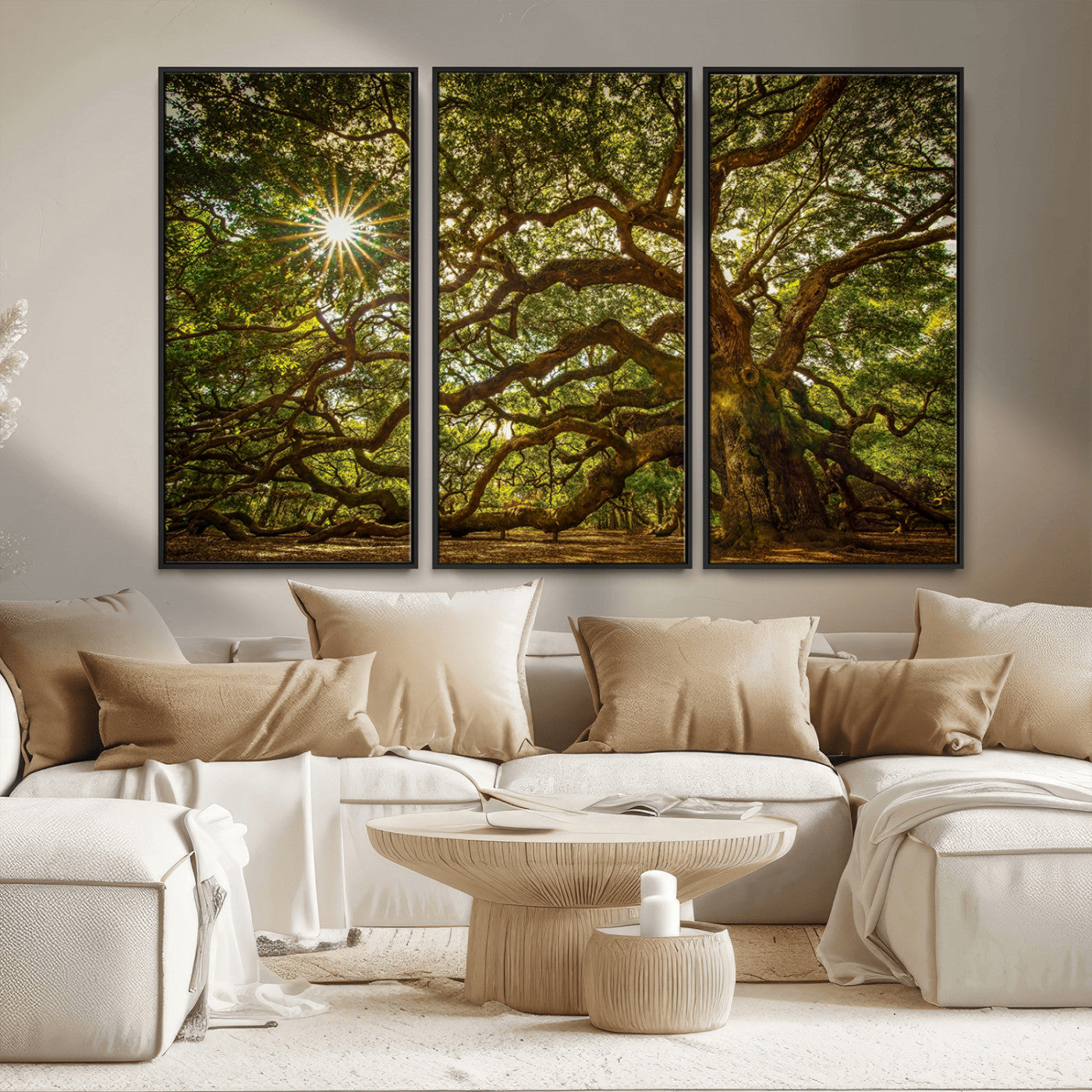 MGV-FC-48X32-3P - Ancient Angel Oak Tree Art Sunburst Canvas Print- Nature-Inspired Triptych Canvas Print, Framed, Ready to Hang
