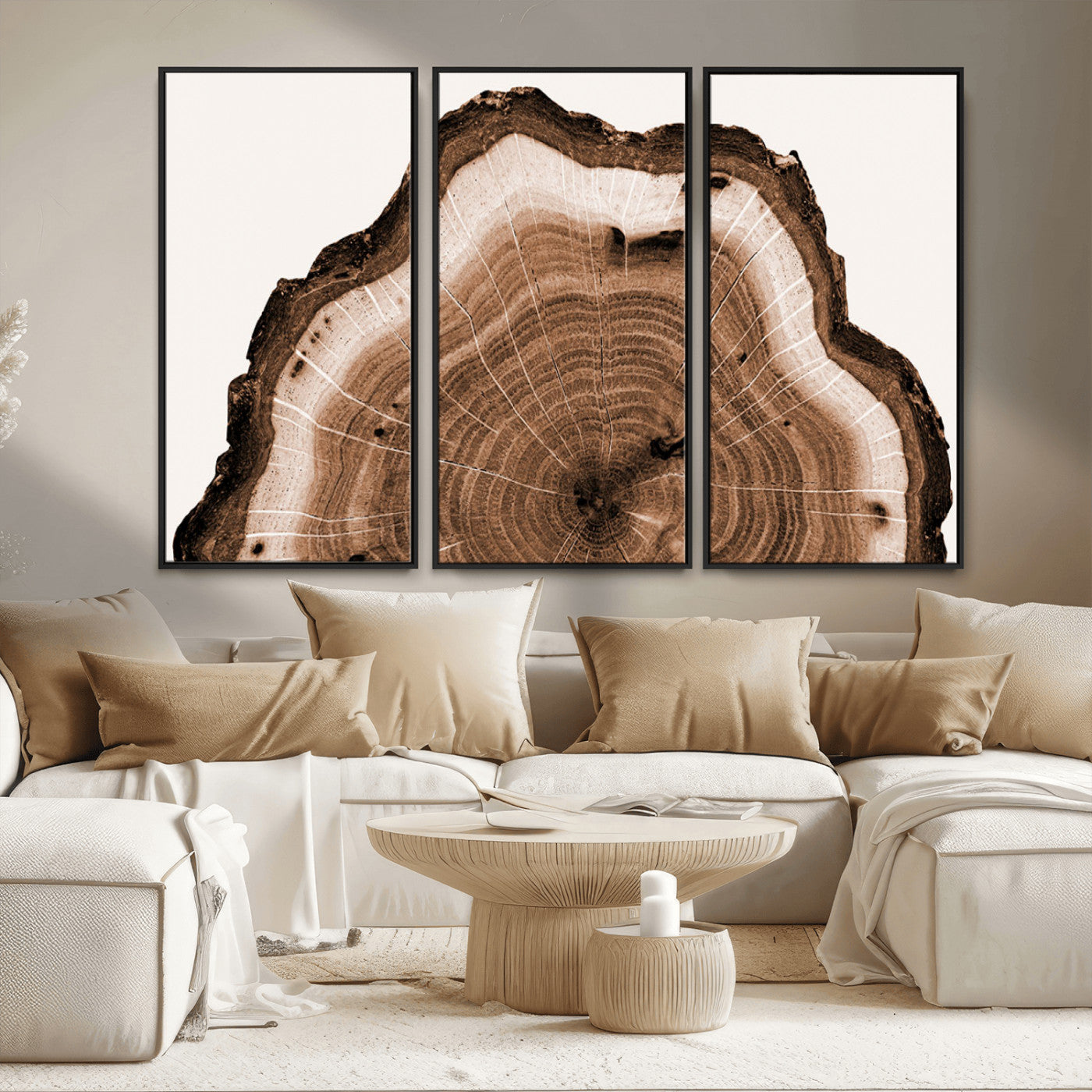 45195-MGV-FC-48X32-3P_Black-Rustic Wood Rings Wall Art | Nature-Inspired Tree Ring Canvas Print | Ready to Hang and Framed for