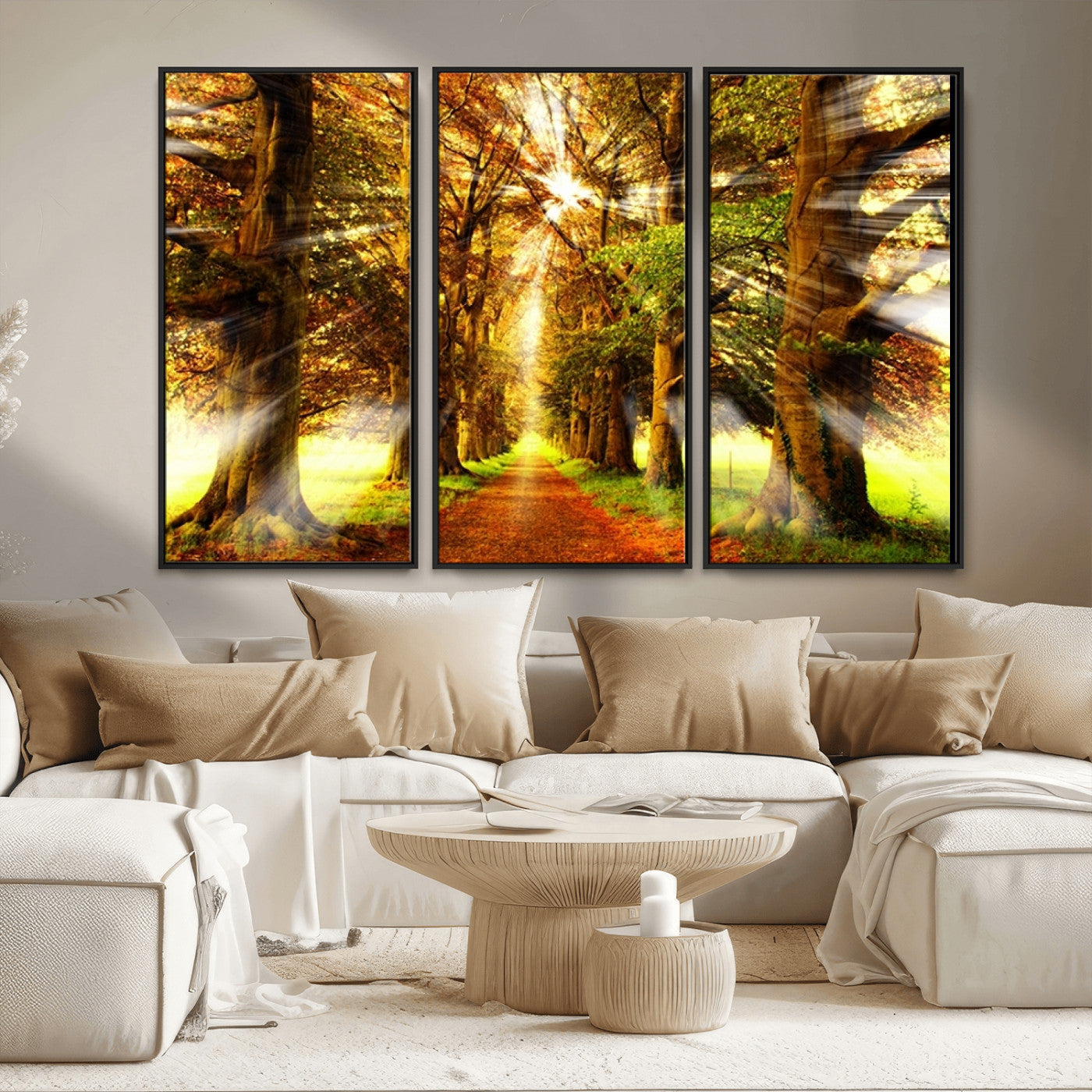 MGV-FC-48X32-3P - Sunshine in Forest and Trees Wall Art Canvas Print