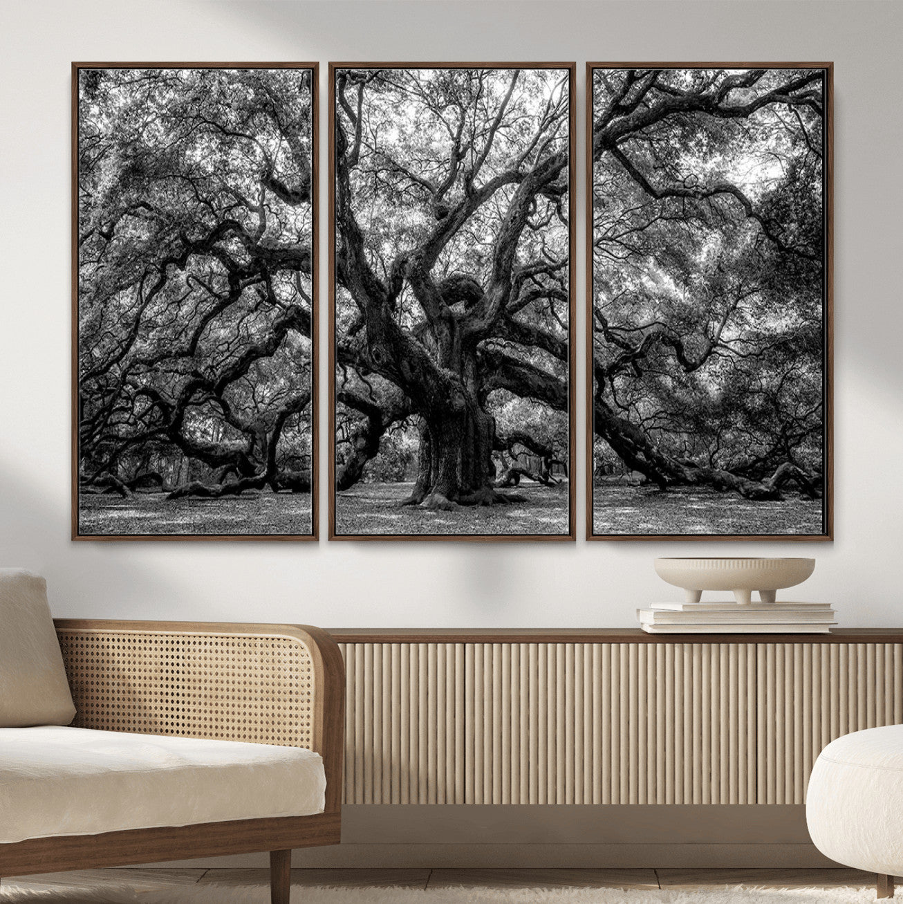 132944706-MGV-CV-36X24 - Black and White Old Angel Oak Tree Wall Art Canvas Print