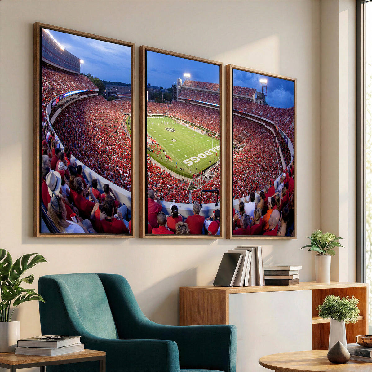 10244378-MGV-CV-36X24 - Dooley Stadium Wall Art, Sports Arena Canvas Print, Dooley Field, Home Bar Wall Decor