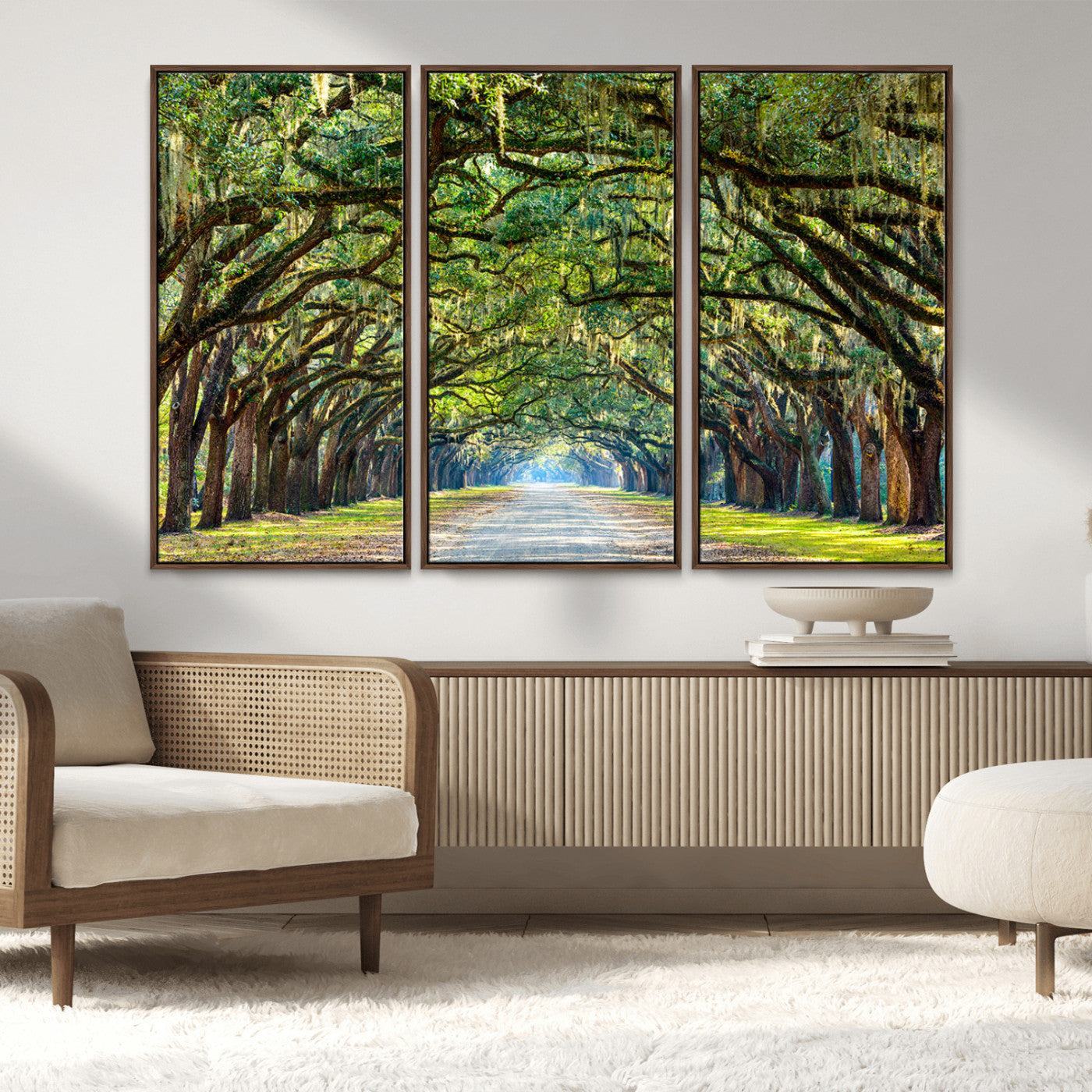 MGV-FC-48X32-3P - Wormsloe State Plantation Driveway Wall Art Canvas Print