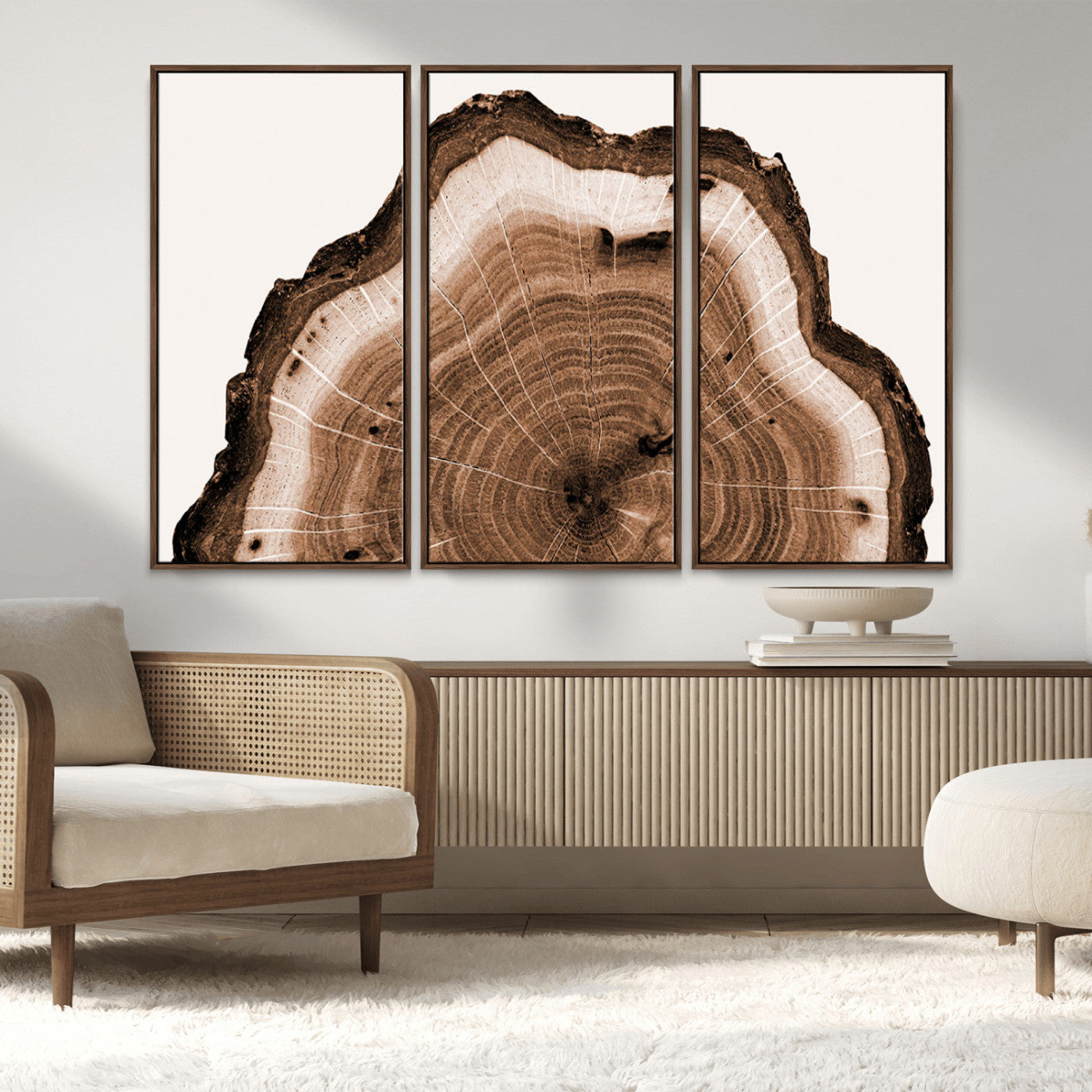 45195-MGV-FC-48X32-3P_Walnut-Rustic Wood Rings Wall Art | Nature-Inspired Tree Ring Canvas Print | Ready to Hang and Framed for