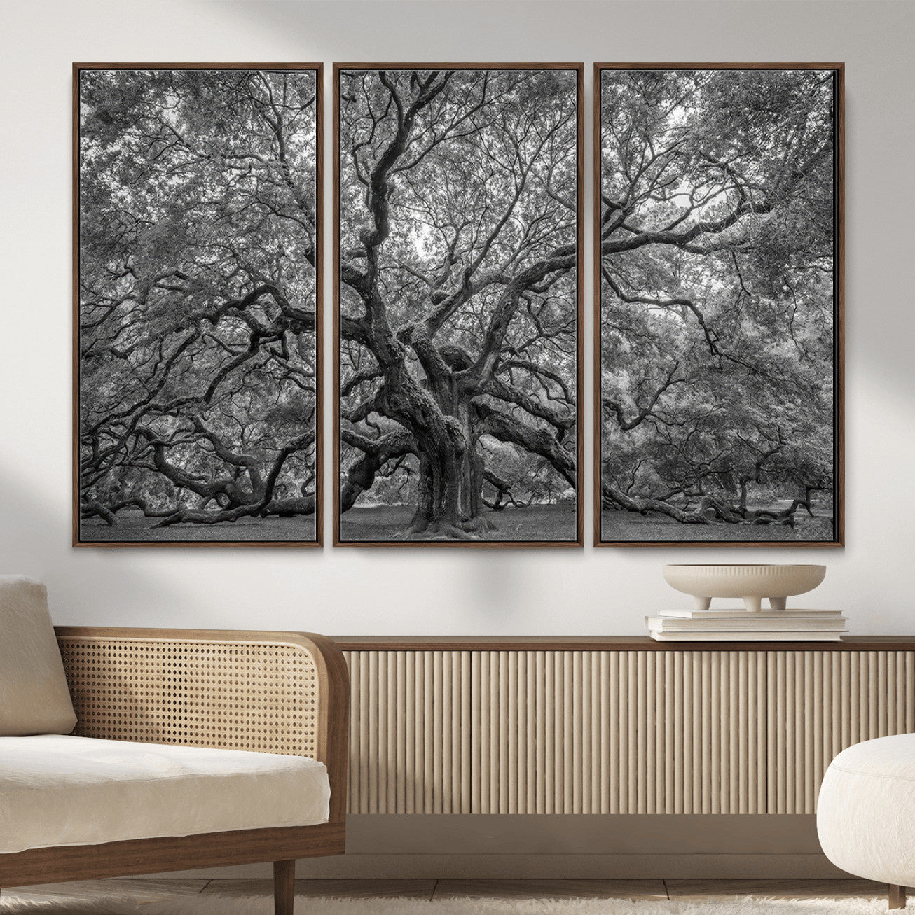 97240-MGV-CV-36X24 - Large Angel Oak Tree Black and White Canvas Print