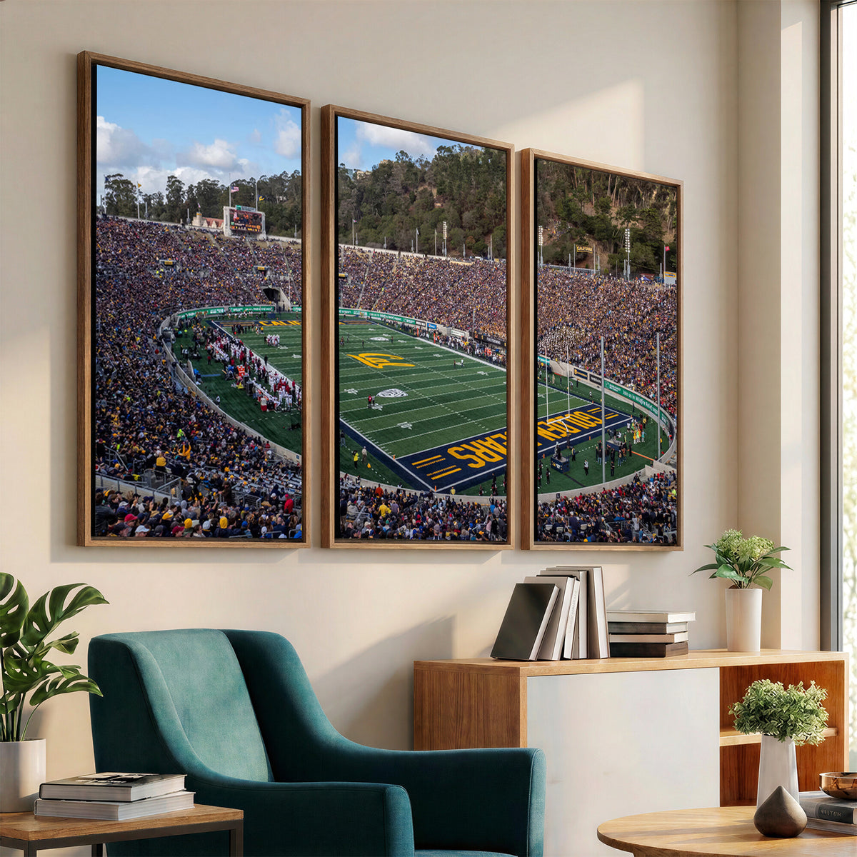 38054-MGV-CV-36X24 - University of California Golden Bears Football Team Print - Berkeley California Memorial Stadium Art