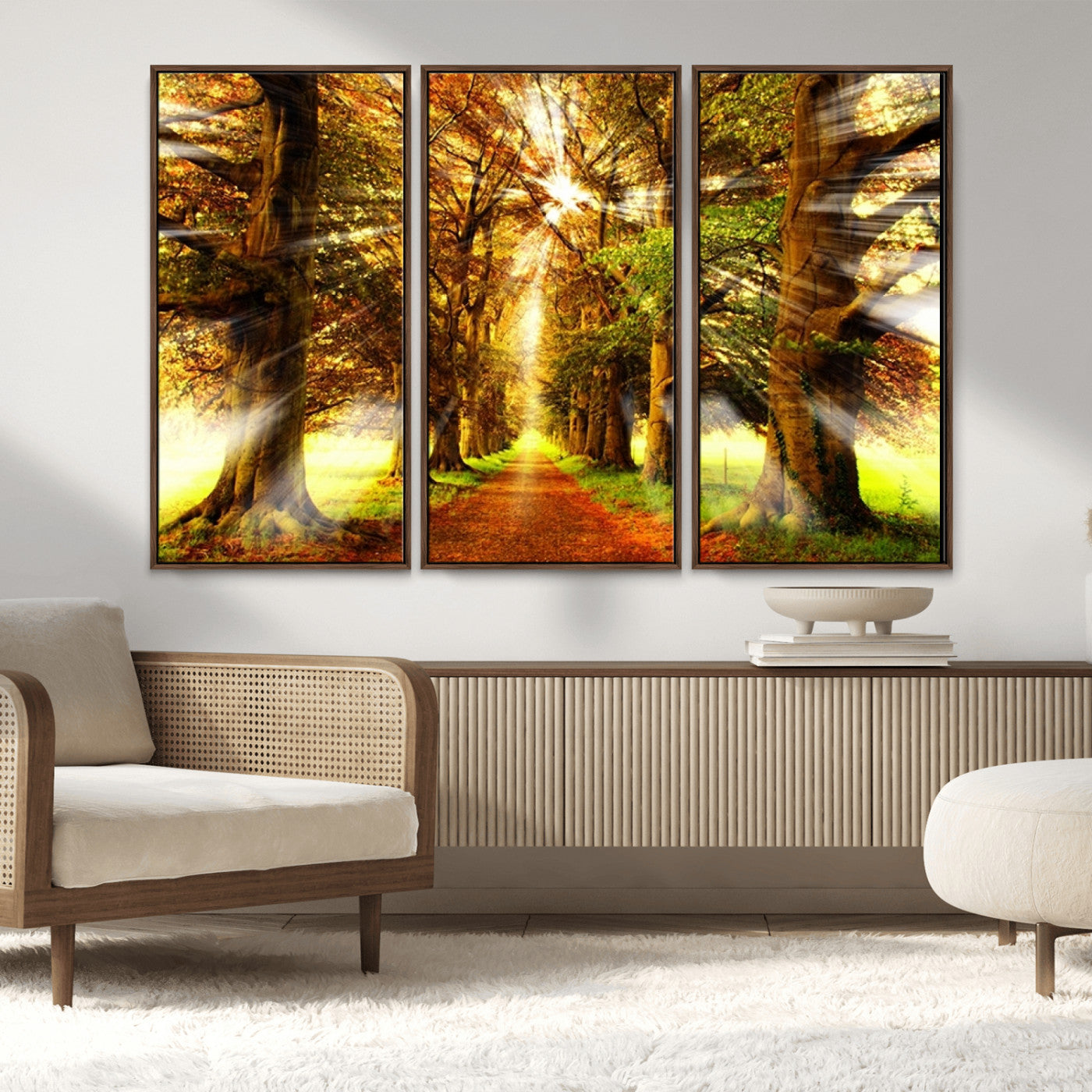 MGV-FC-48X32-3P - Sunshine in Forest and Trees Wall Art Canvas Print
