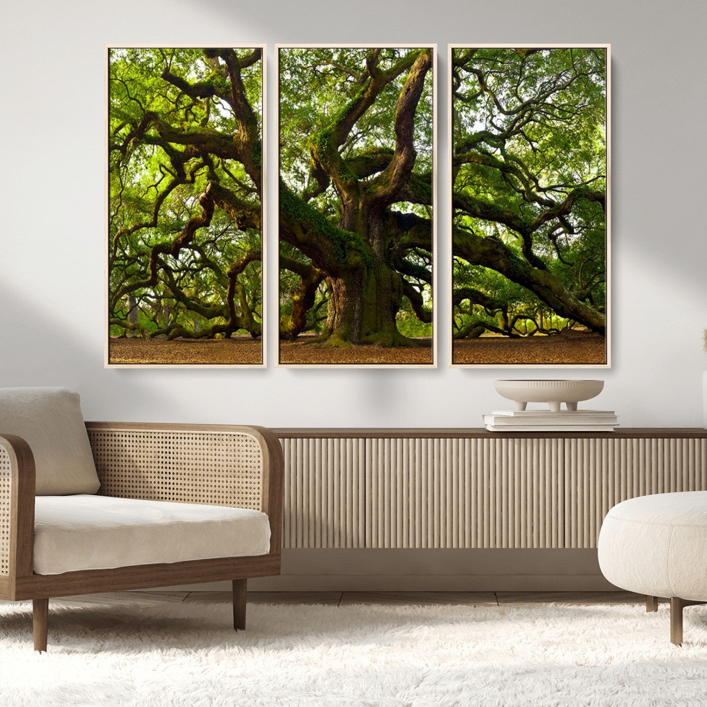 MGV-FC-48X32-3P - Angel Oak Tree Wall Art Canvas Print | Forest Tree Nature Photography Print on Canvas | Large Triptych Art for Living Room or Office Decor