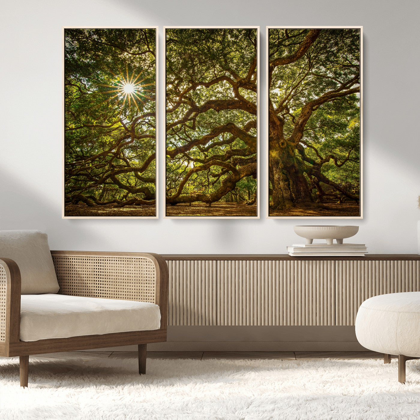MGV-FC-48X32-3P - Ancient Angel Oak Tree Art Sunburst Canvas Print- Nature-Inspired Triptych Canvas Print, Framed, Ready to Hang