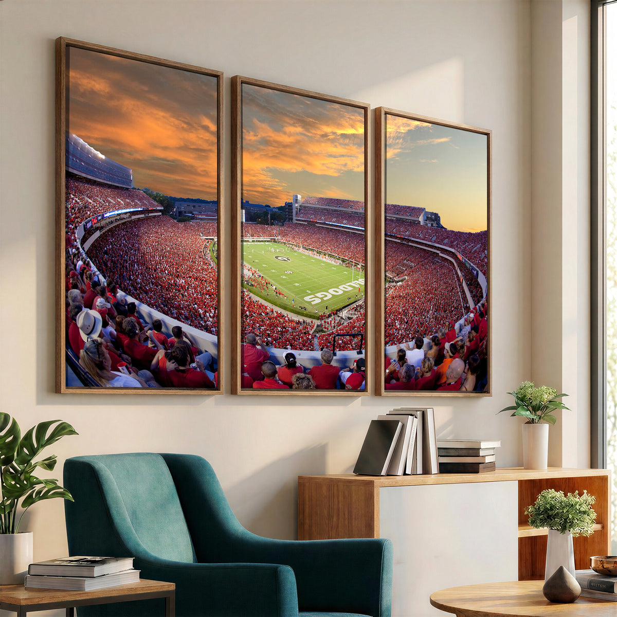 73680988-MGV-CV-36X24 - Dooley Stadium Wall Art, Sports Arena Canvas Print, Dooley Field, Framed and Ready to Hang