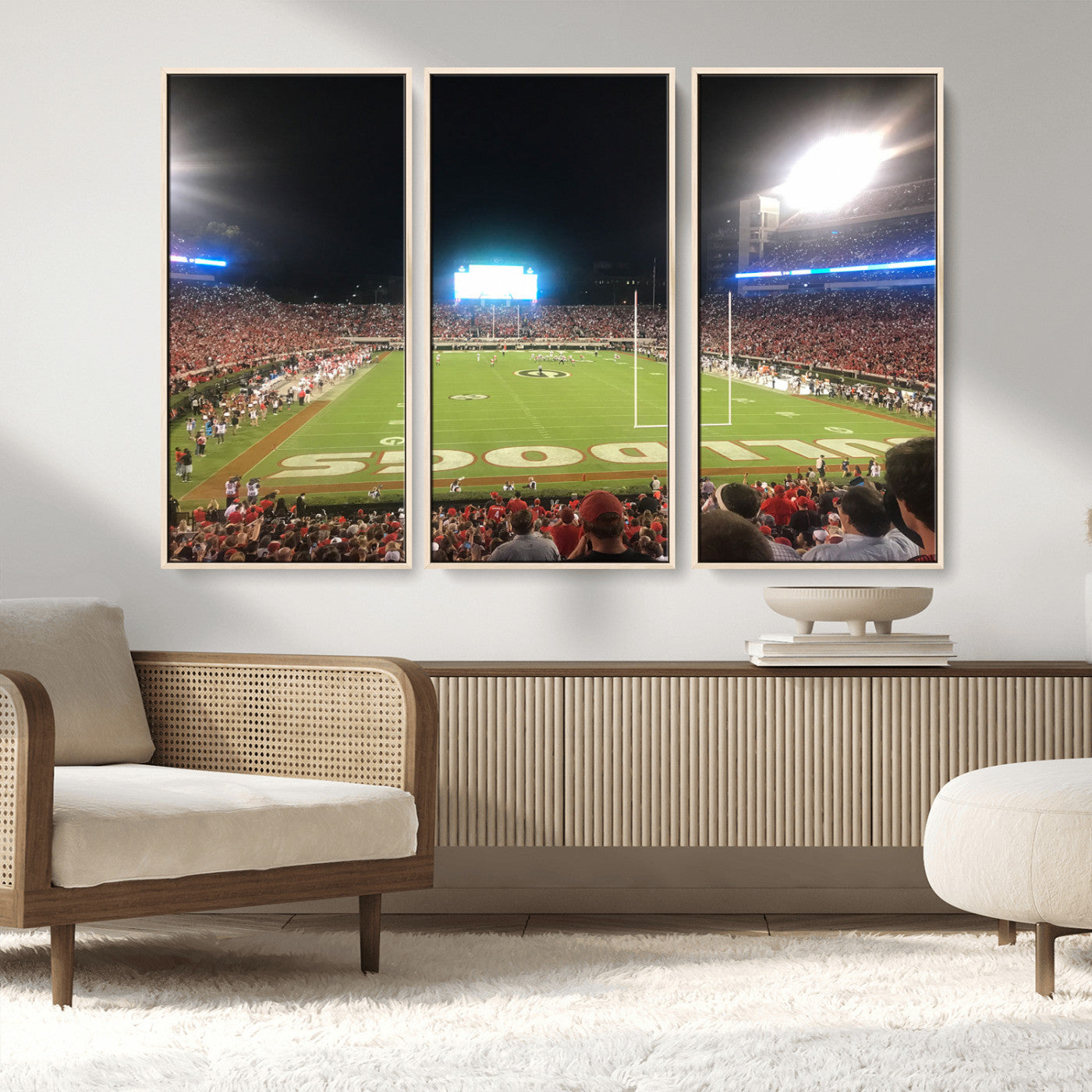 Dooley Stadium Wall Art Print, Sports Arena Canvas Wall Art, Panoramic Stadium Canvas Print, Modern Athletic Field Art Printing